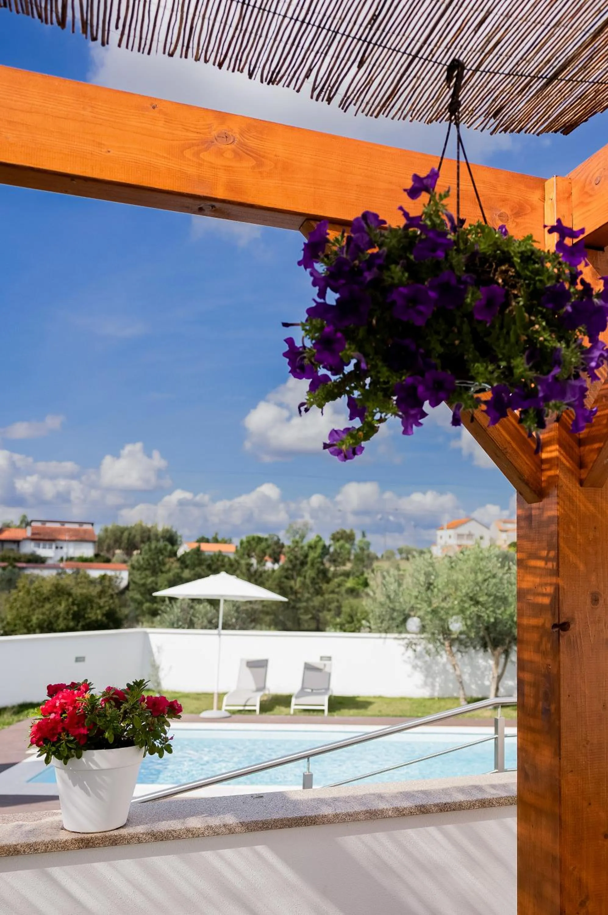 Garden in Alojamento Jasmine