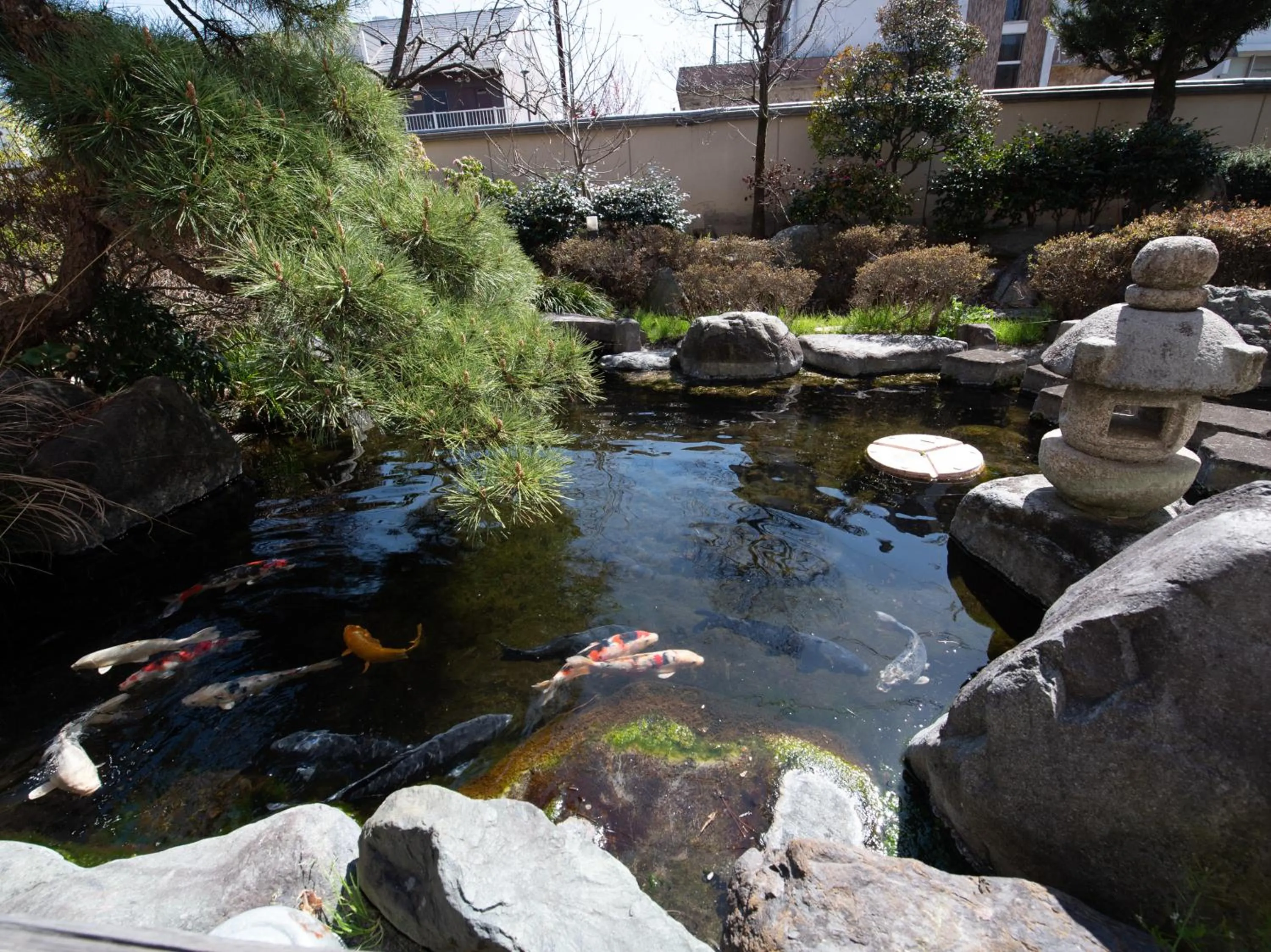 Day in Chateraise Lodge Kasugai