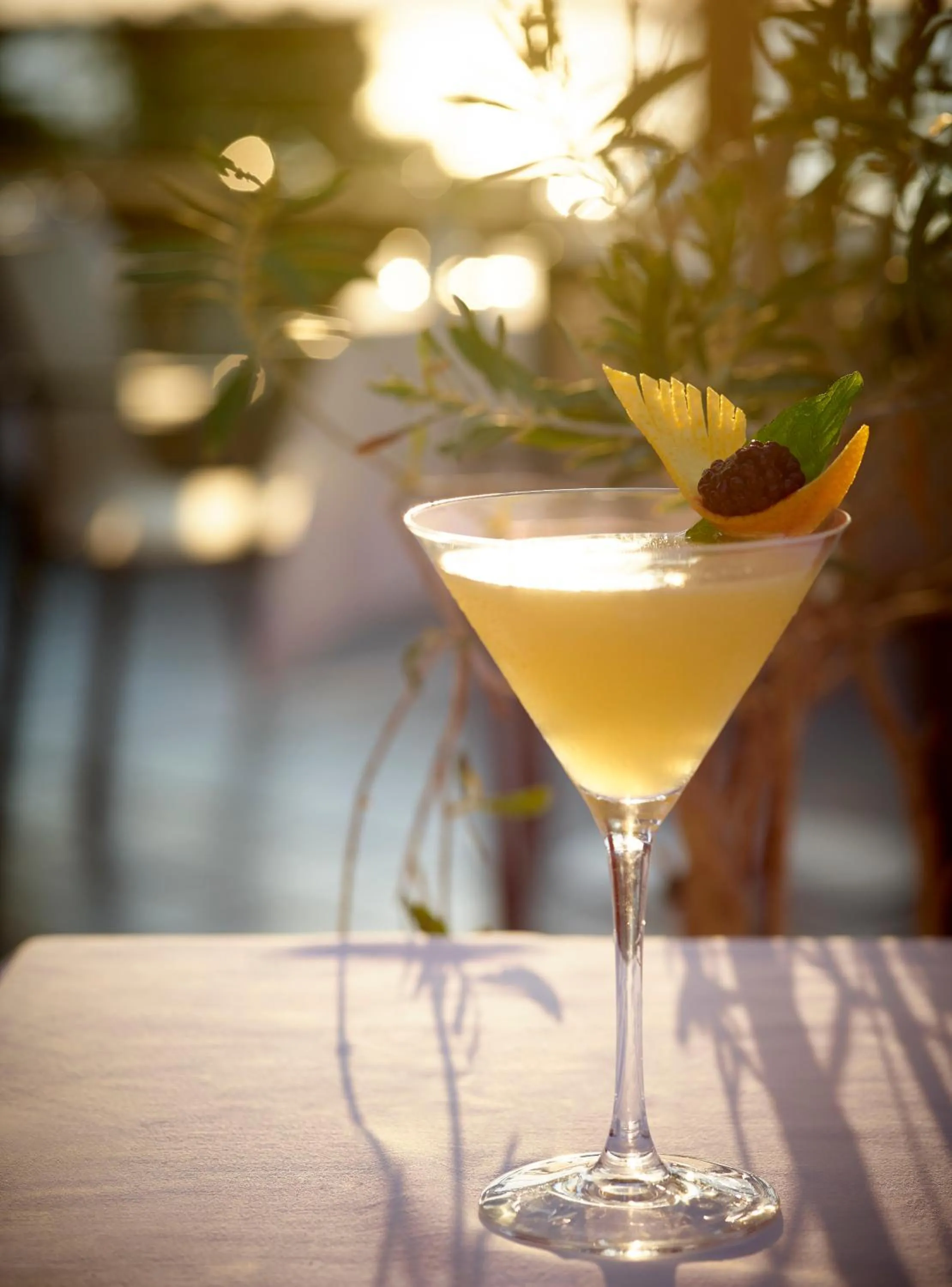 Drinks in Amus Hotel & Spa