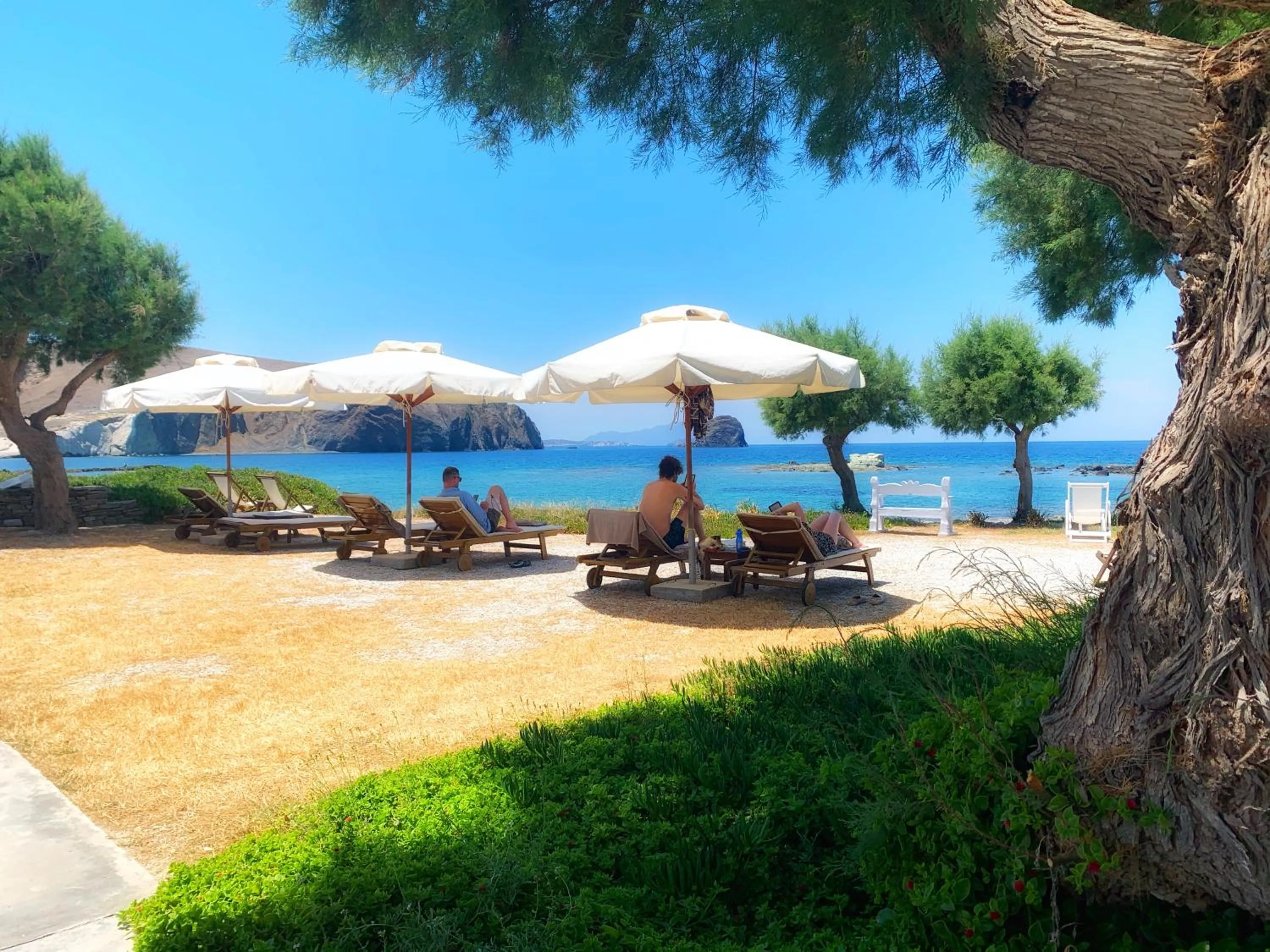 Garden view in Nefeli Sunset Studios