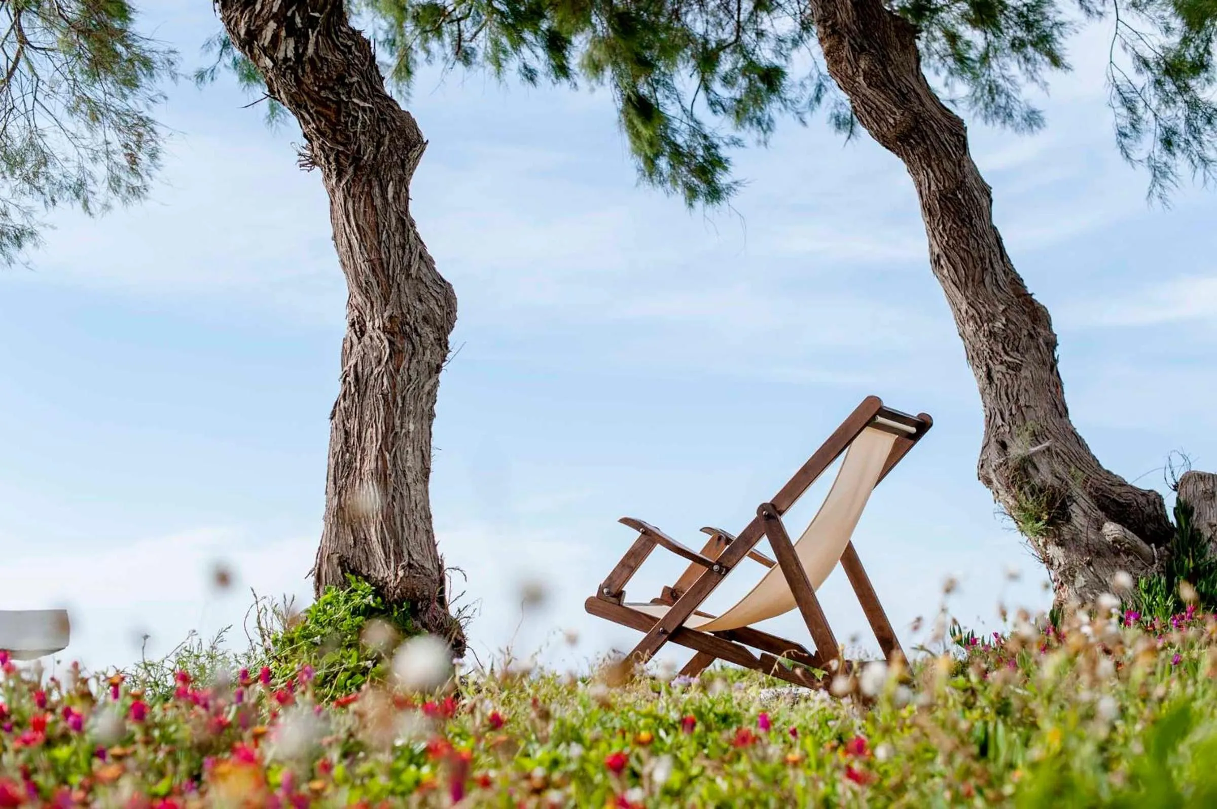 Garden in Nefeli Sunset Studios