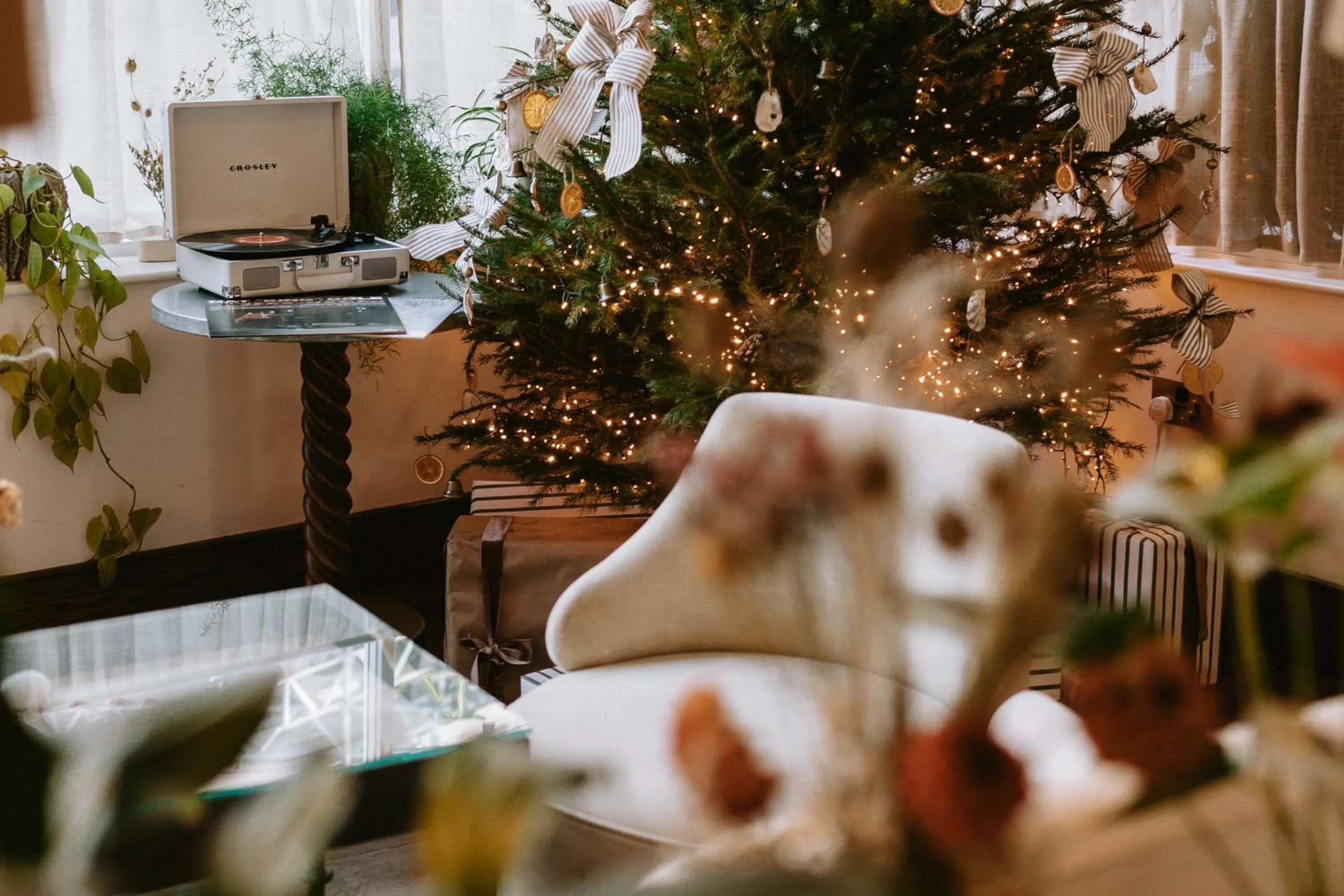 Winter in No 42 by GuestHouse, Margate