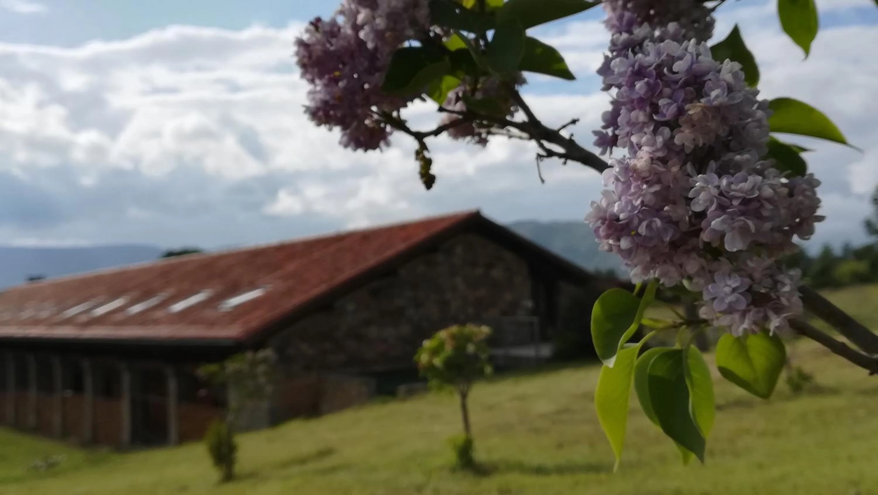 Property building in Izan Puerta de Gredos