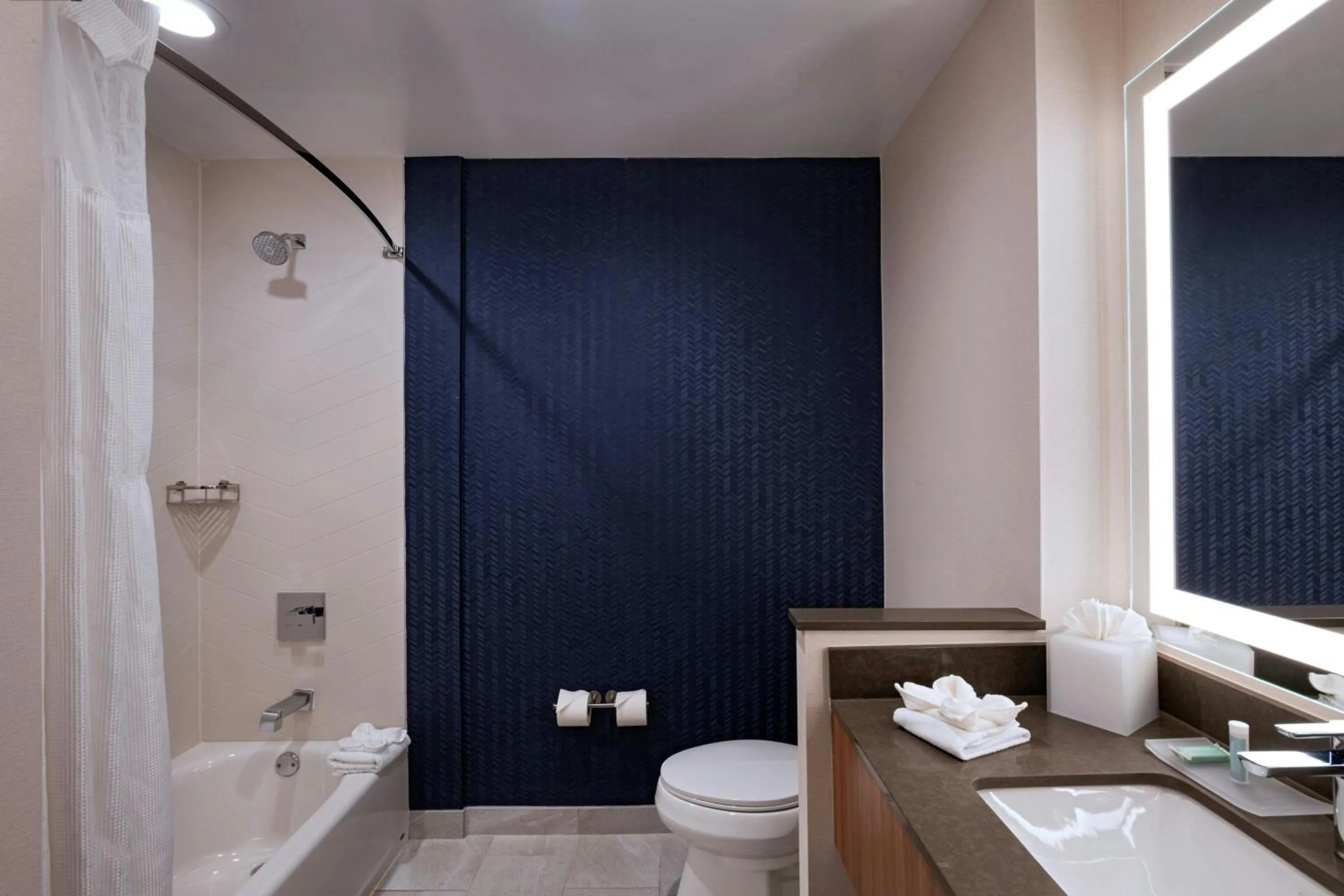 Bathroom in Fairfield Inn & Suites Austin Downtown