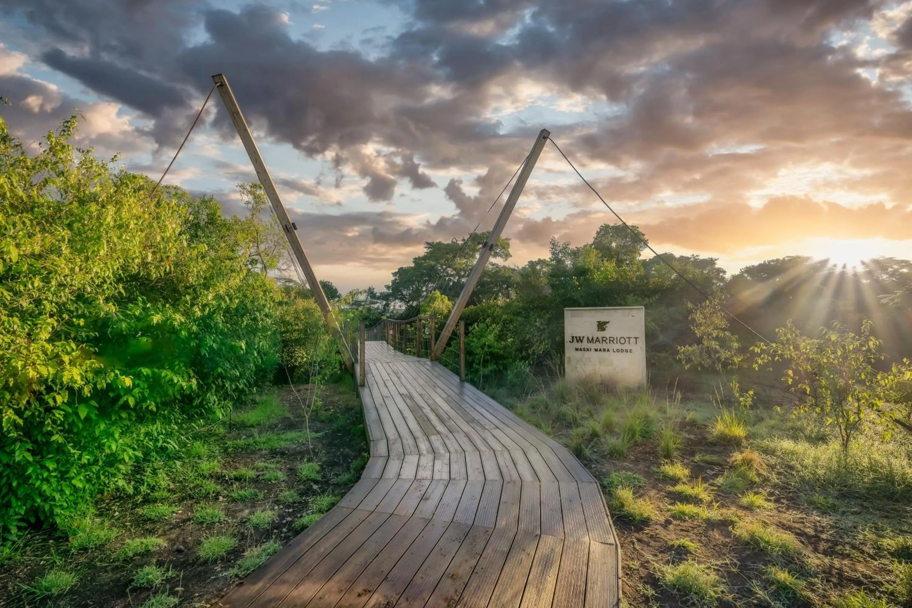 View (from property/room) in JW Marriott Masai Mara Lodge
