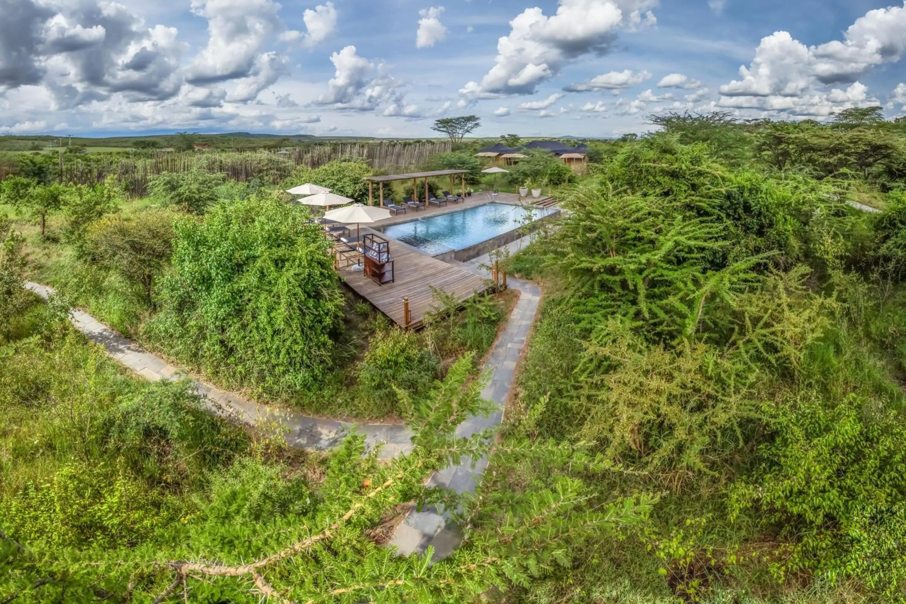 Swimming pool in JW Marriott Masai Mara Lodge