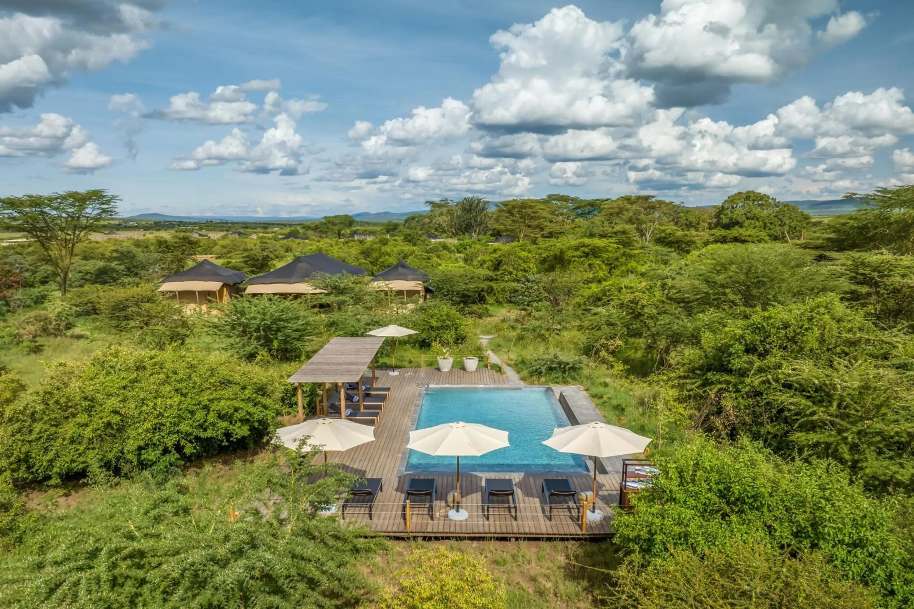 Swimming pool in JW Marriott Masai Mara Lodge