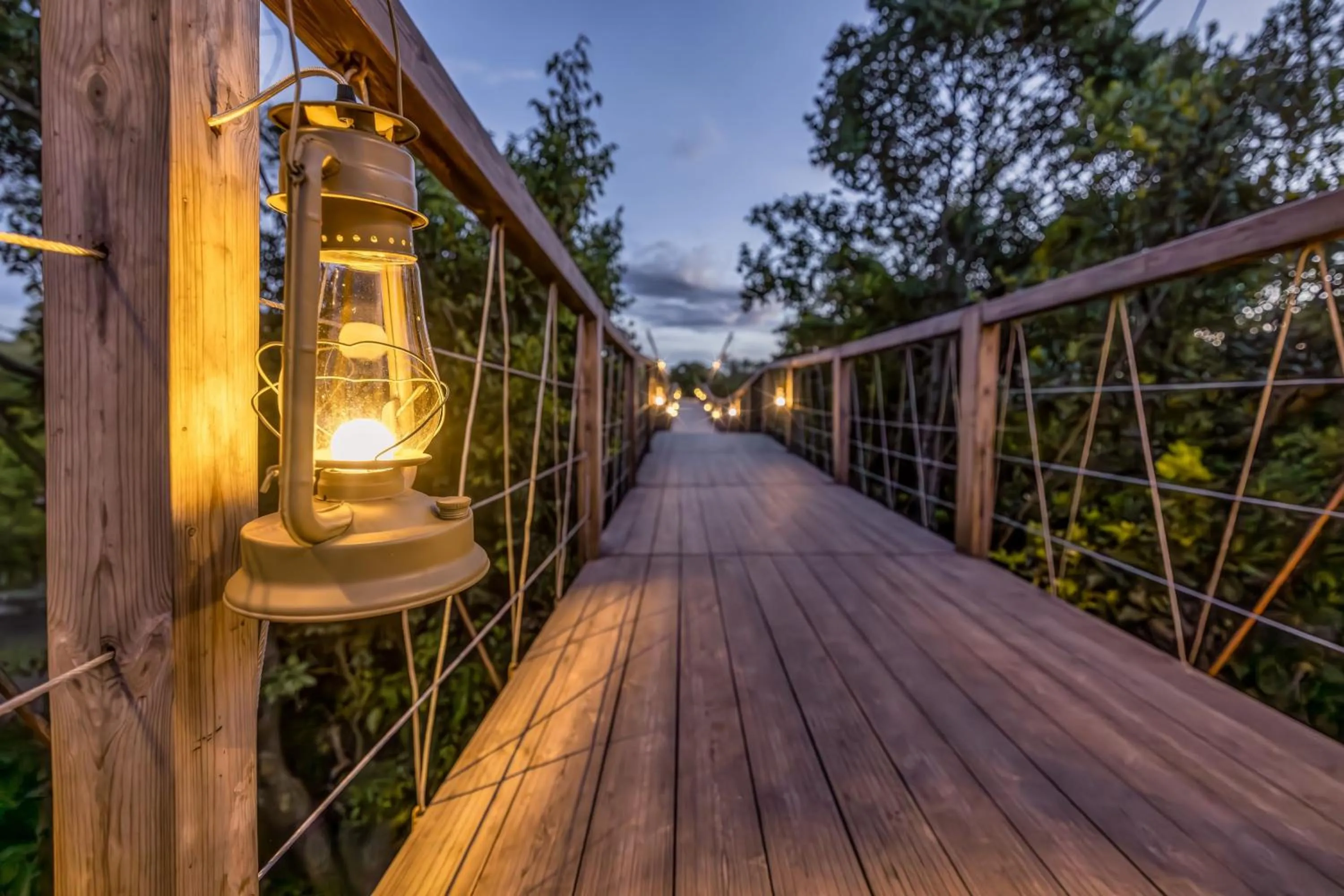 View (from property/room) in JW Marriott Masai Mara Lodge