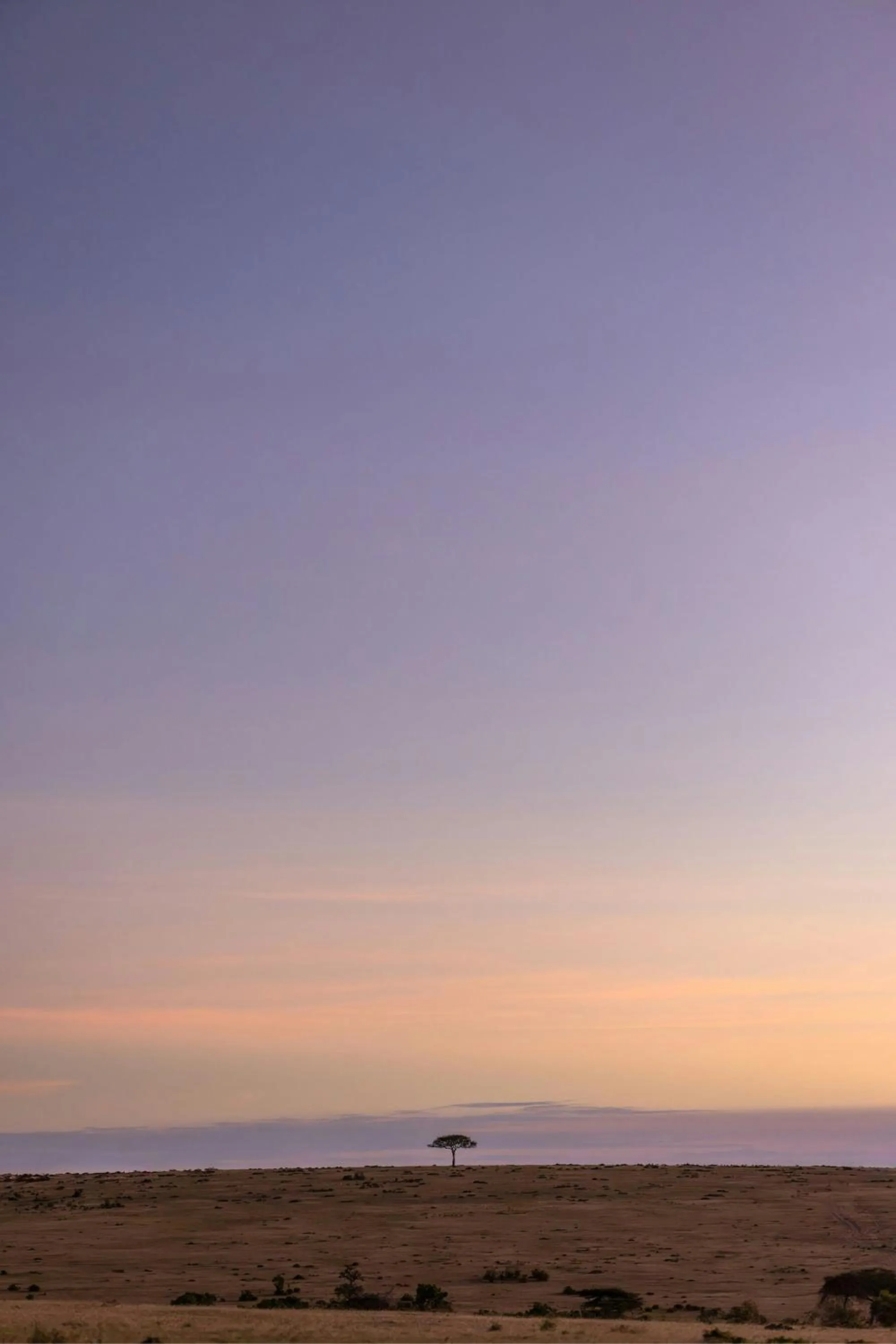 Other in JW Marriott Masai Mara Lodge