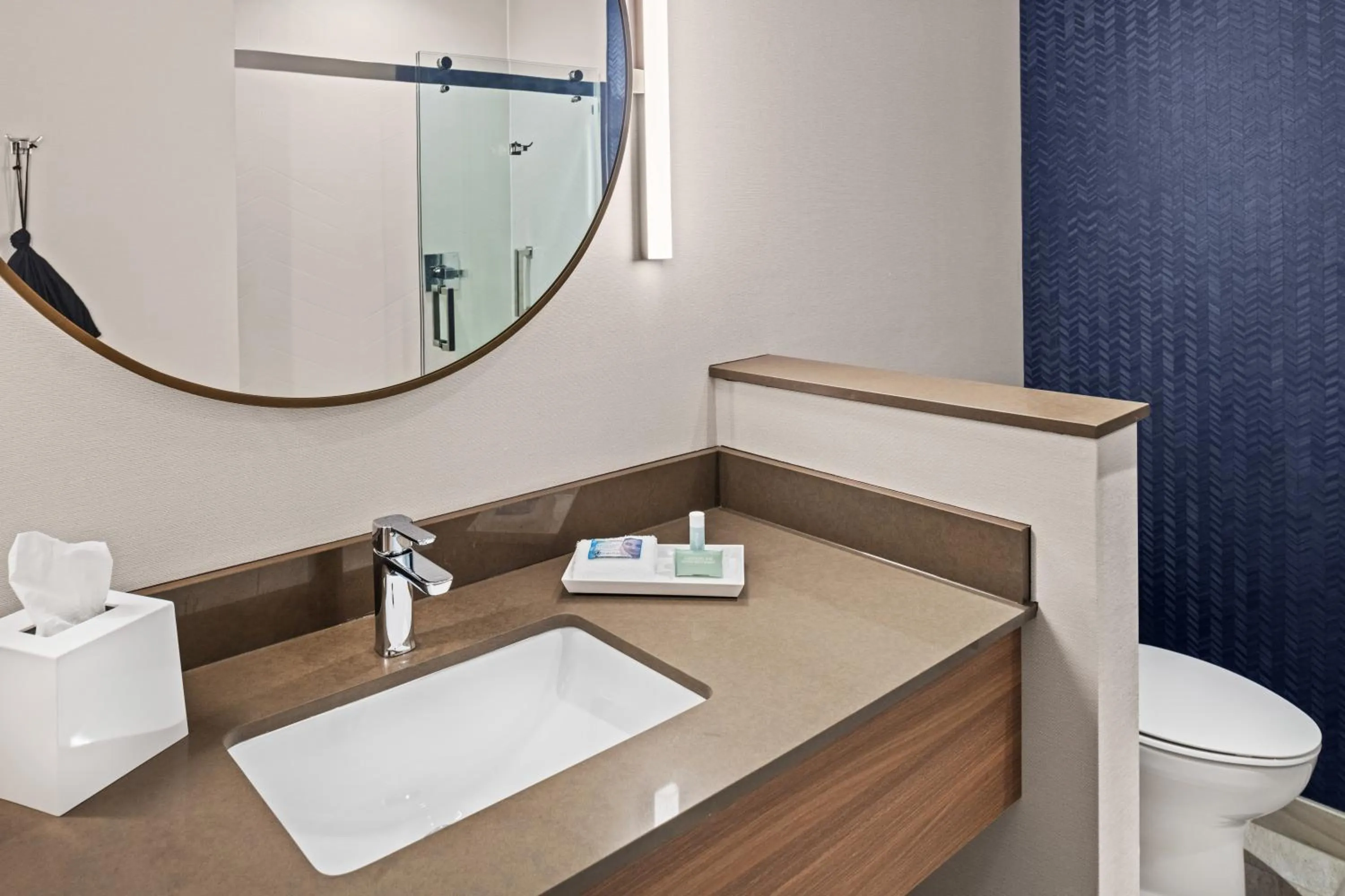 Bathroom in Fairfield by Marriott Inn & Suites Stockton Lathrop