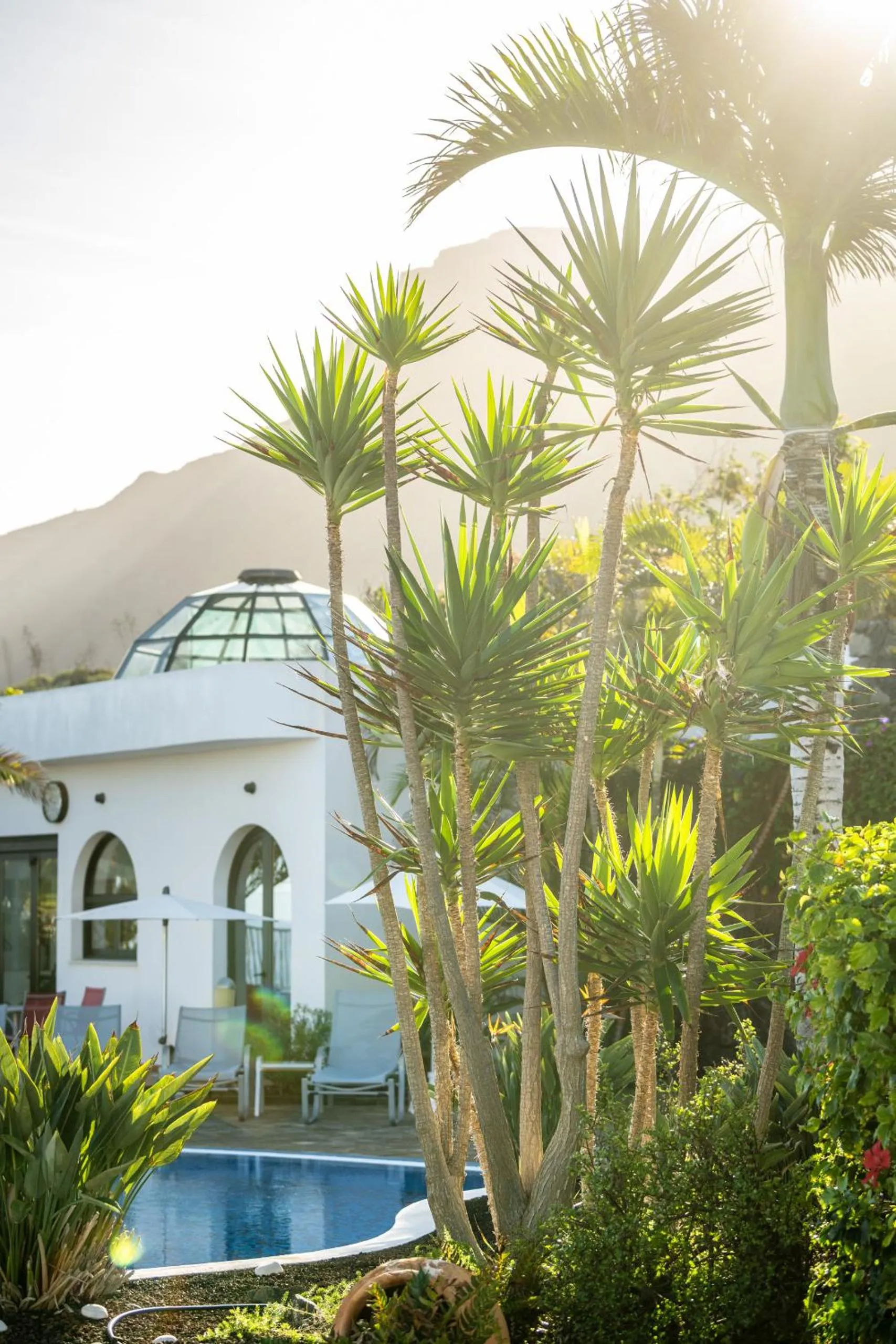 Garden in Luz Del Mar