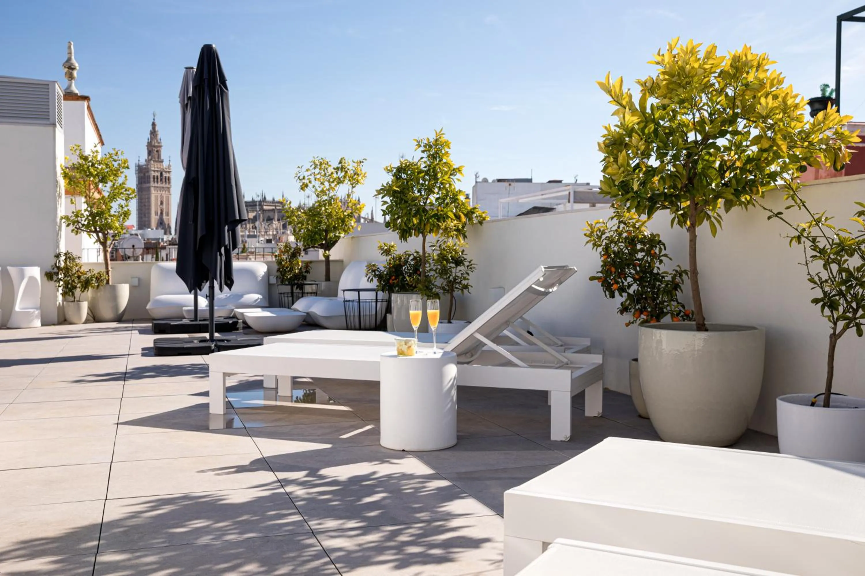 Balcony/Terrace in Mylu Suites by Puerta Catedral