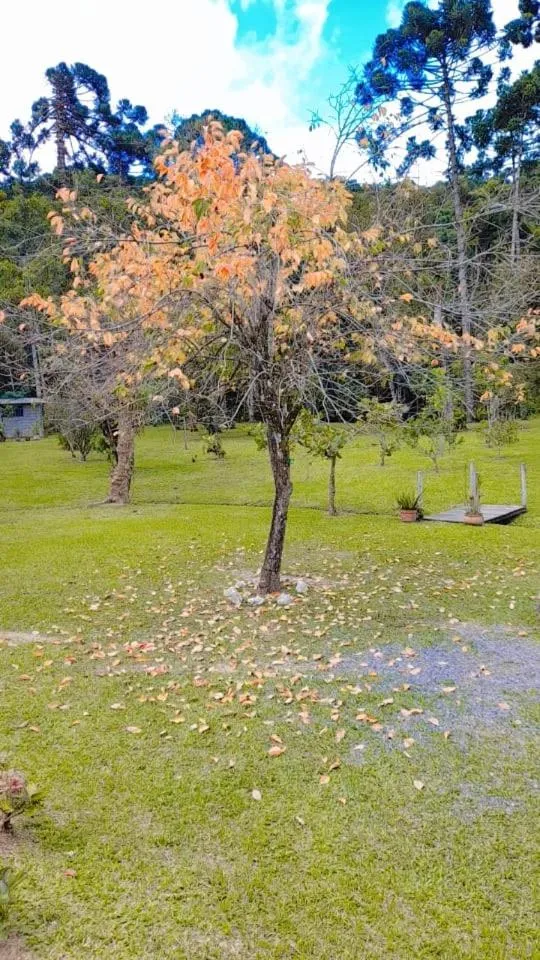 Pousada Bosque do Visconde