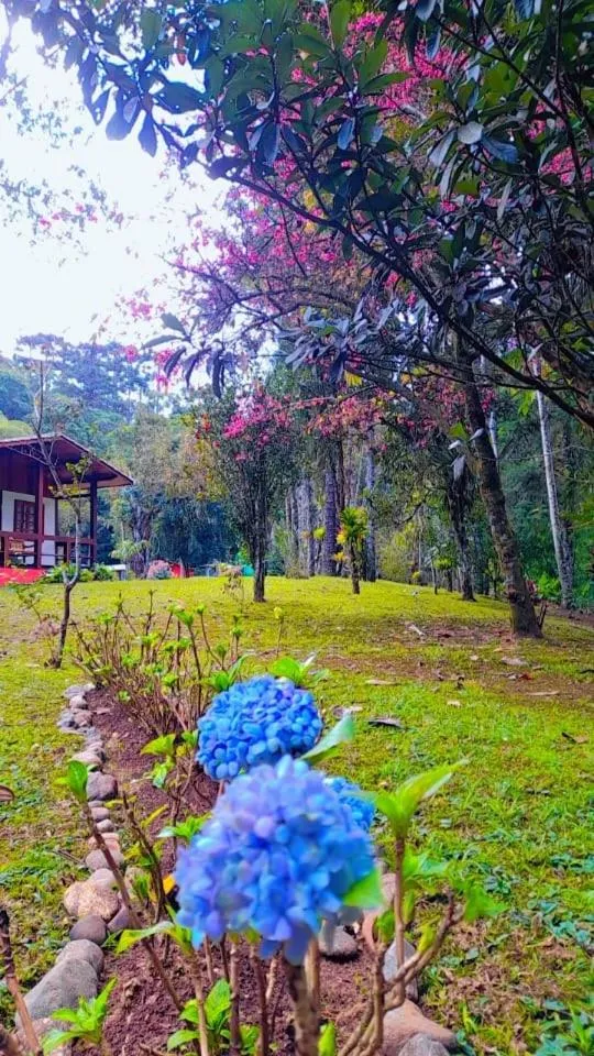 Pousada Bosque do Visconde