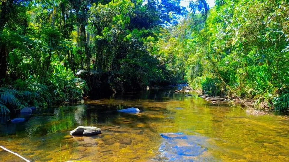 Pousada Bosque do Visconde