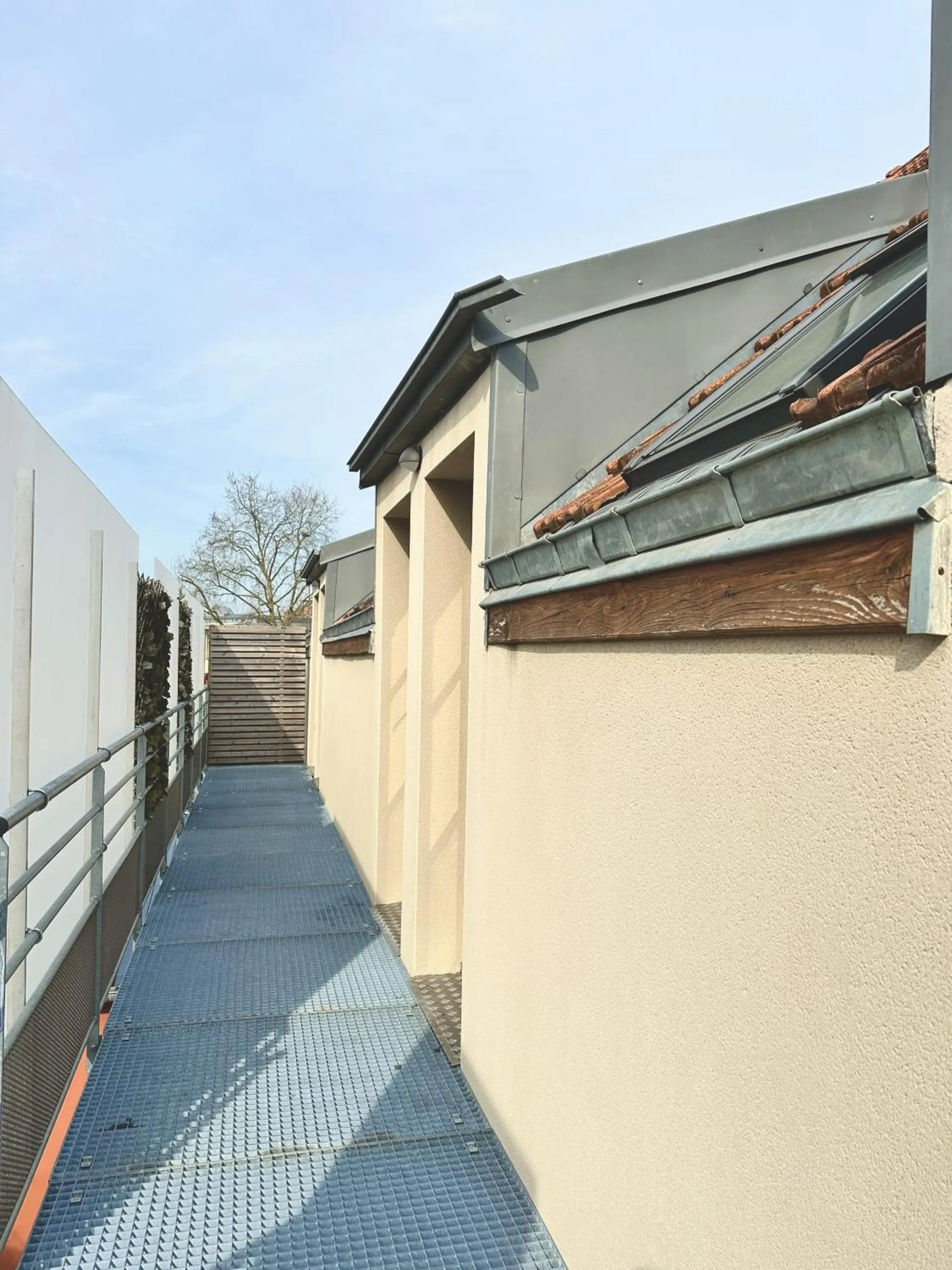 Garden in Le Patio de Loiseau