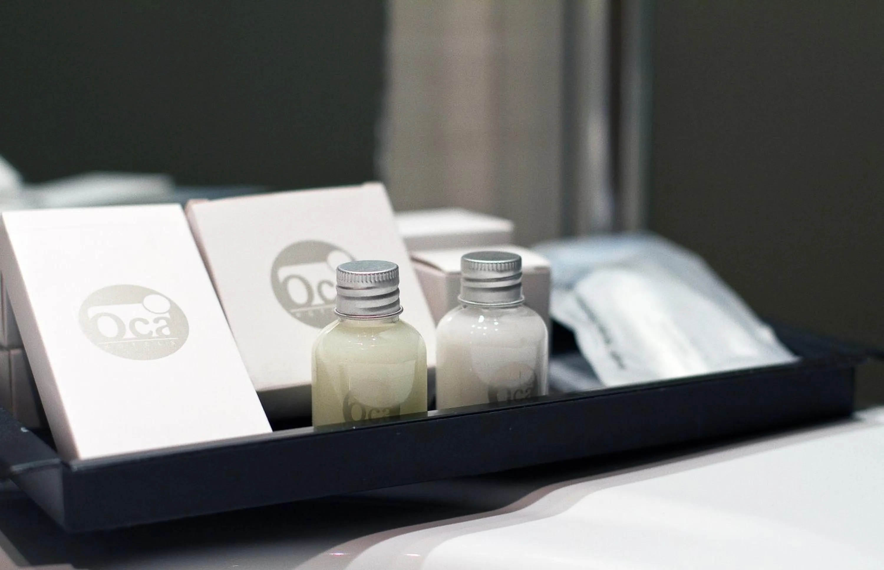 Decorative detail in Oca Palacio De La Llorea Hotel & Spa