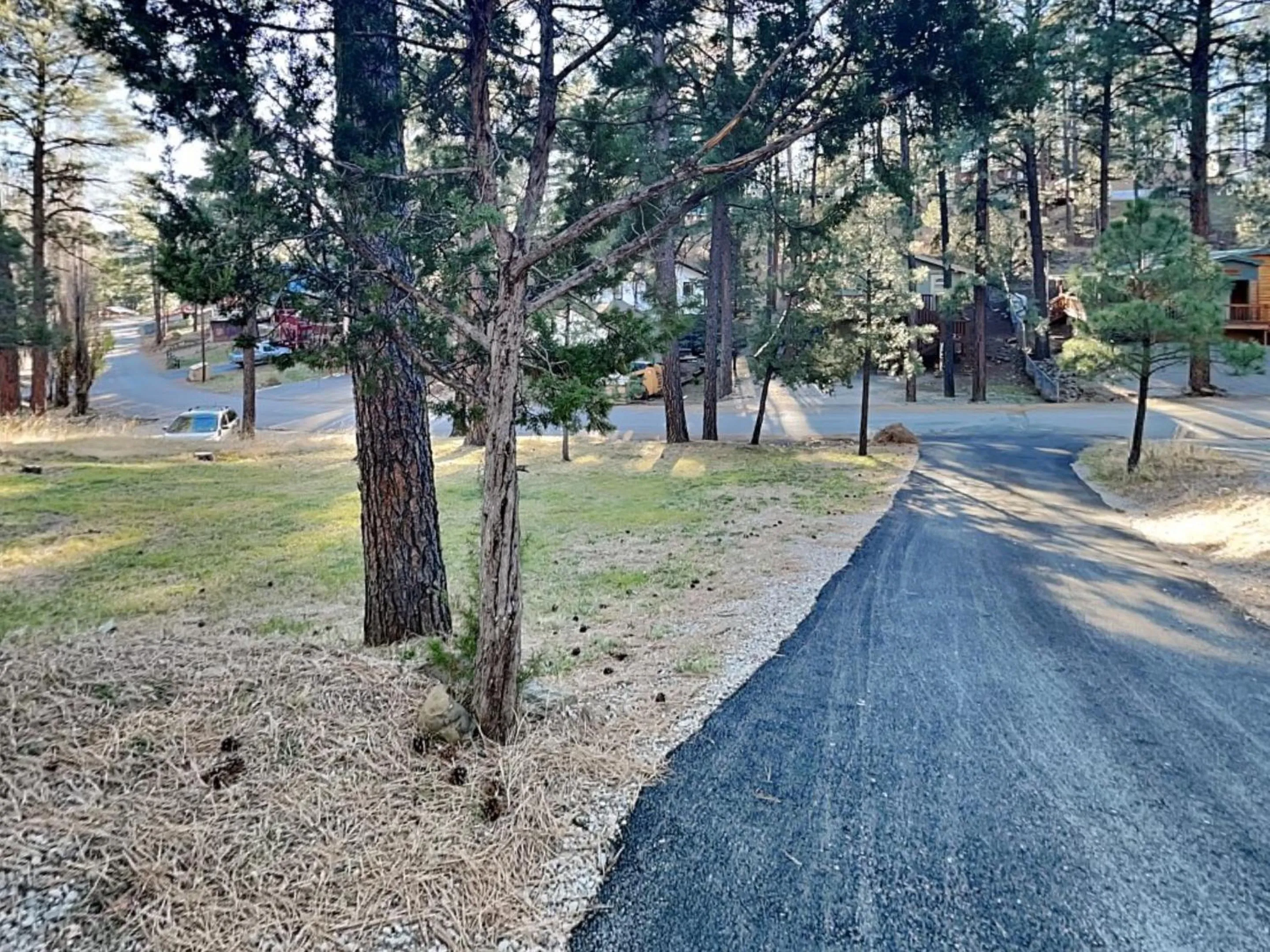 The Elk Meadow Cozy Cabin