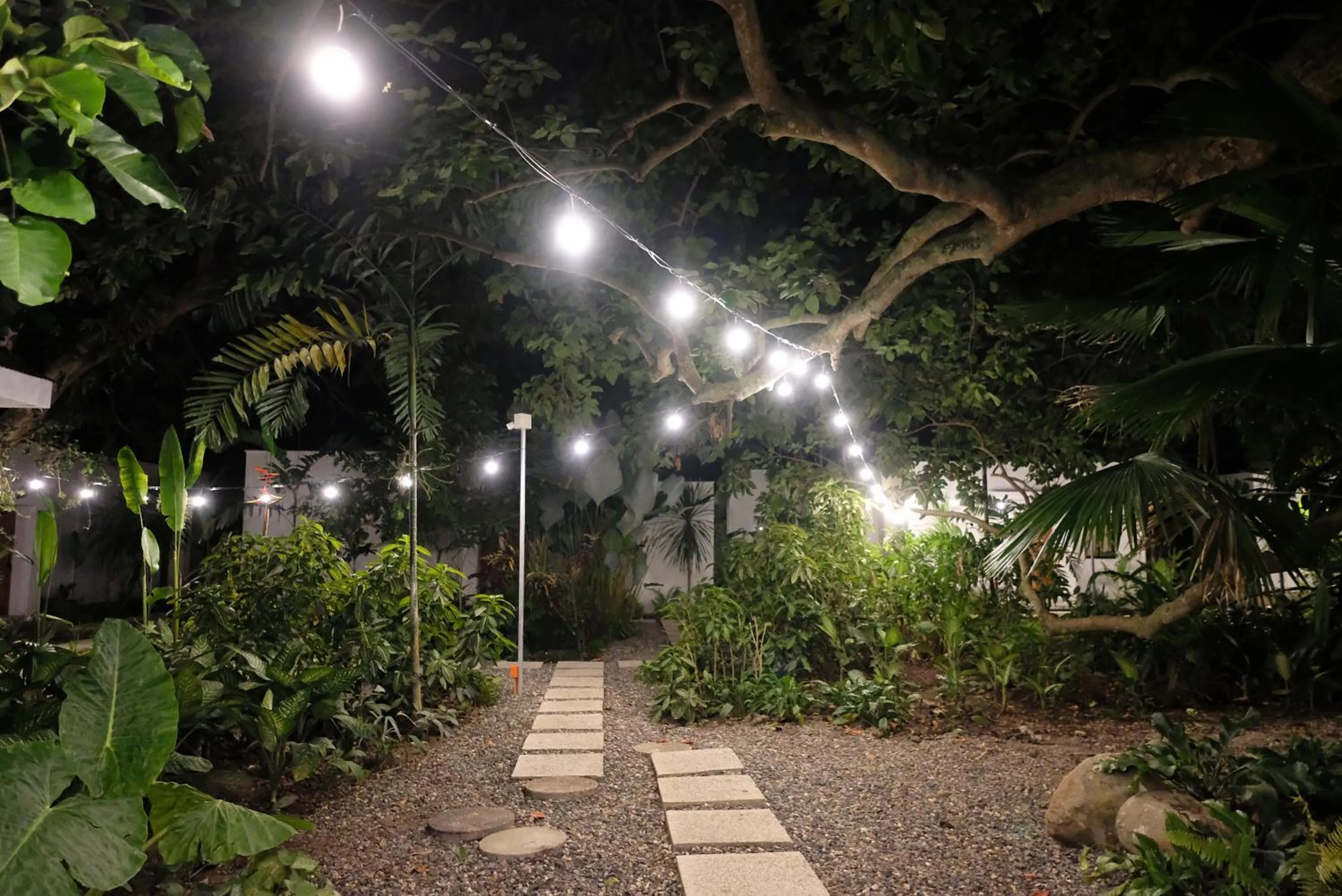 Garden in Mad Monkey Dumaguete