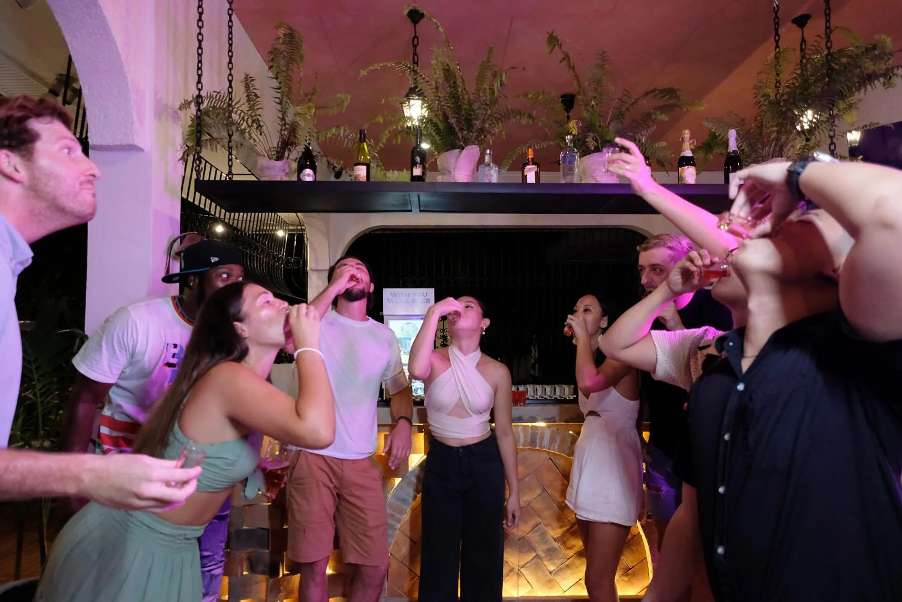 Lounge or bar in Mad Monkey Dumaguete