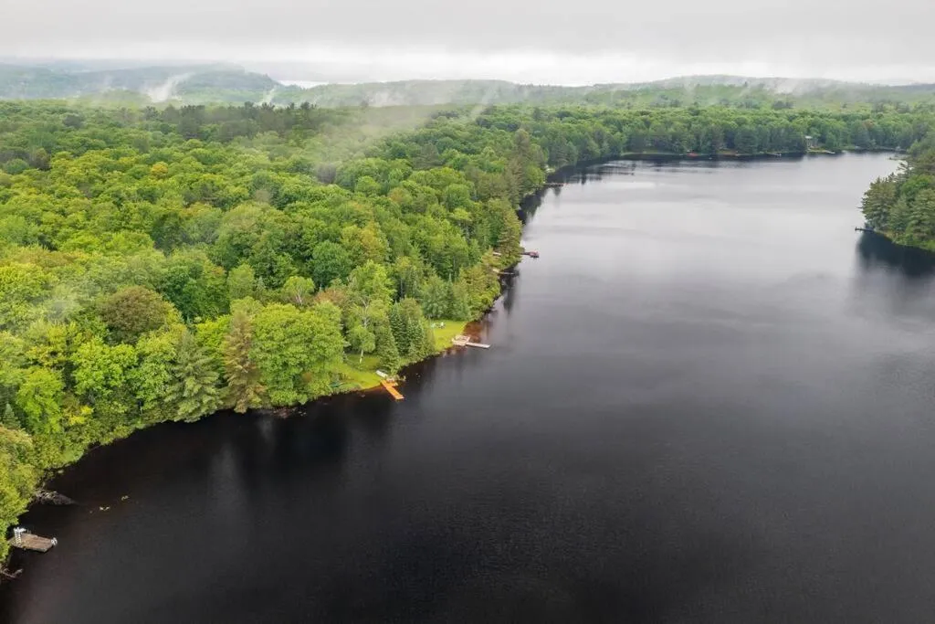 Bear Essentials Hideaway