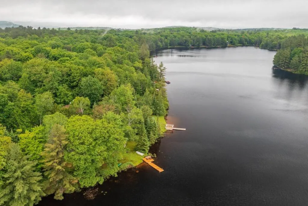 Bear Essentials Hideaway