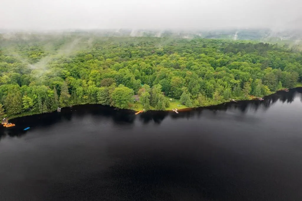 Bear Essentials Hideaway