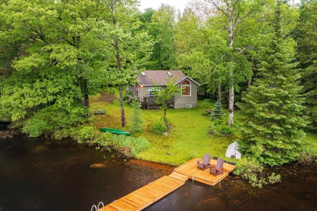 Bear Essentials Hideaway