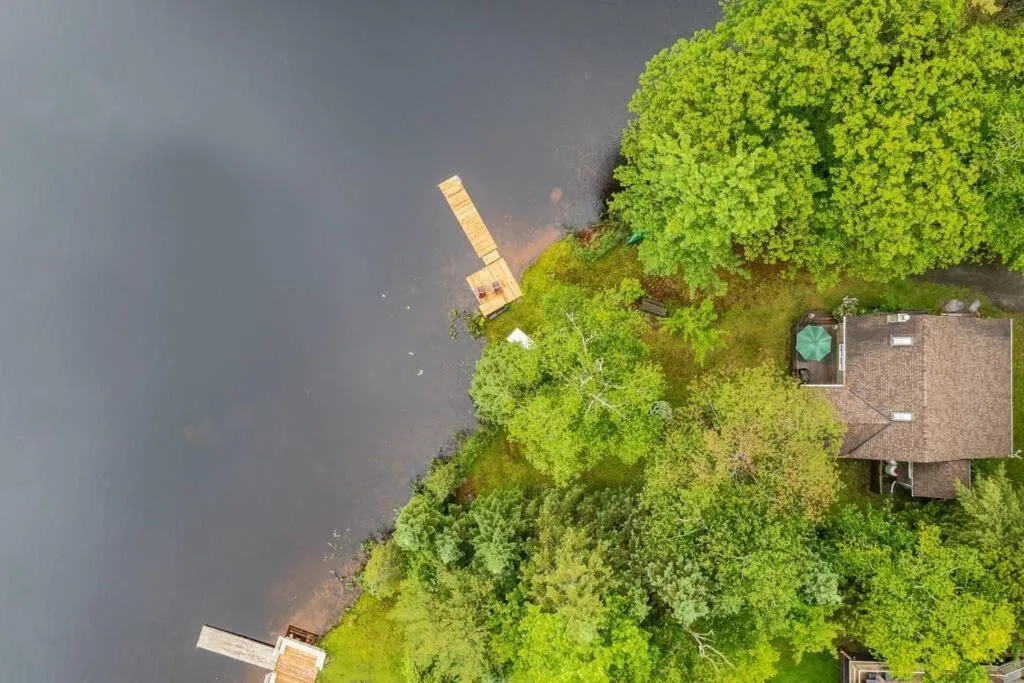 Bear Essentials Hideaway