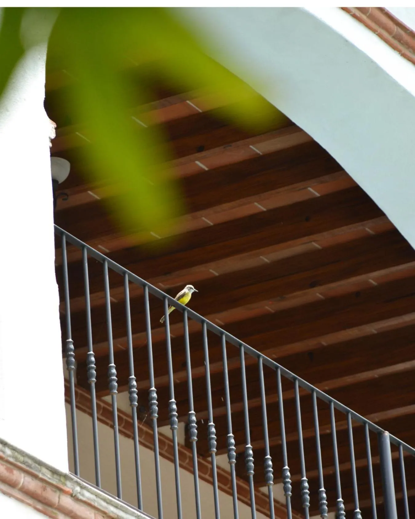 Property building in Palacio Del Cobre