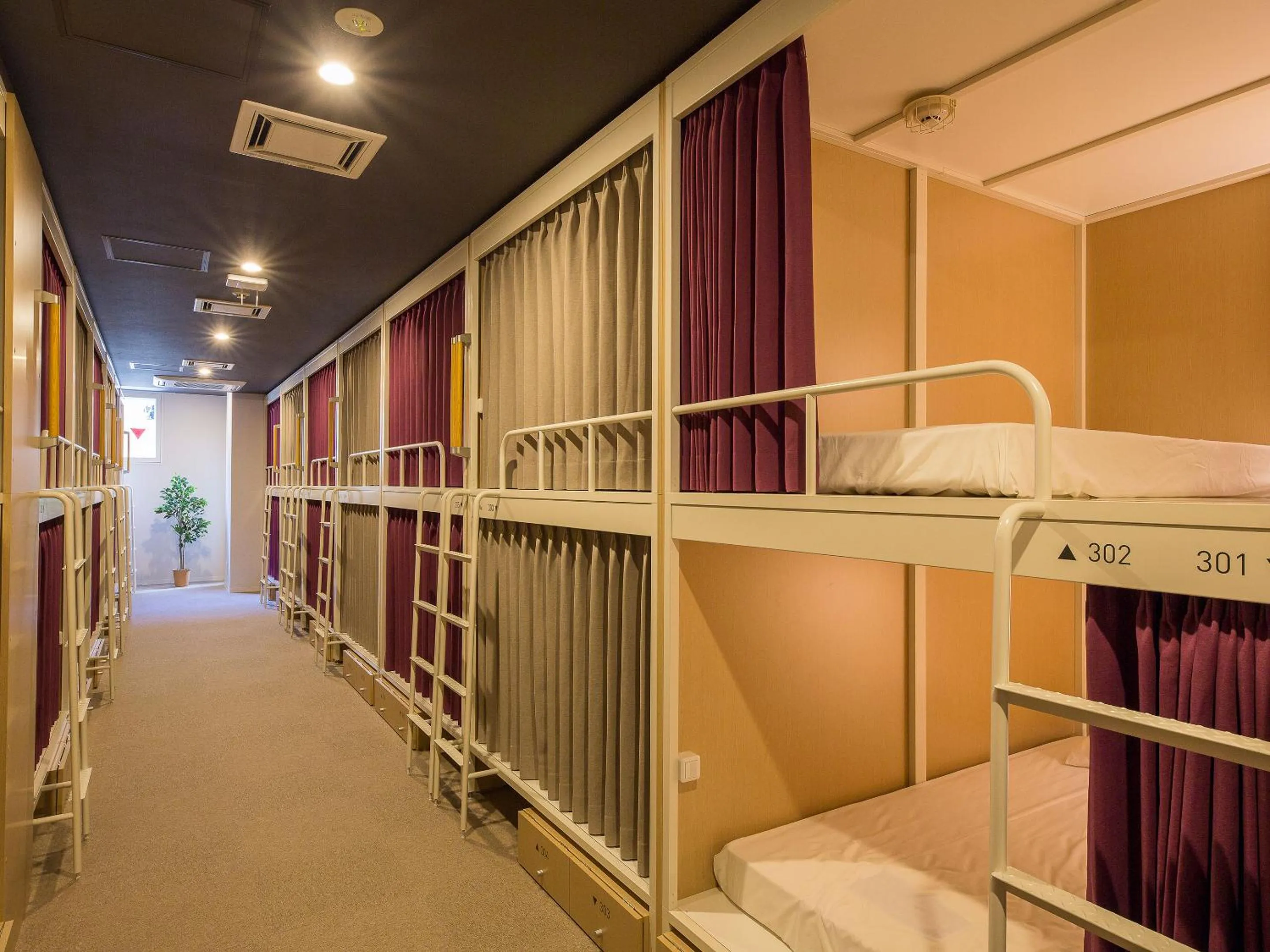 Photo of the whole room, Bed in Hotel Plus Hostel SAPPORO