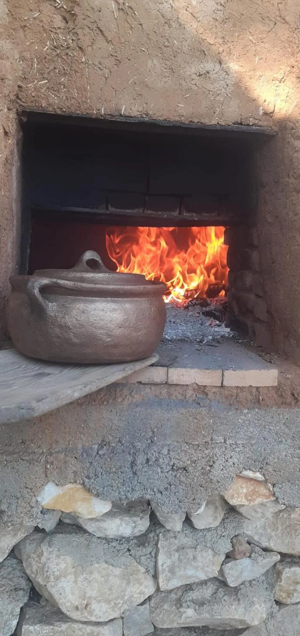 Food close-up in KAZDAĞLARI ZEYTUNİHAN BUTİK OTEL