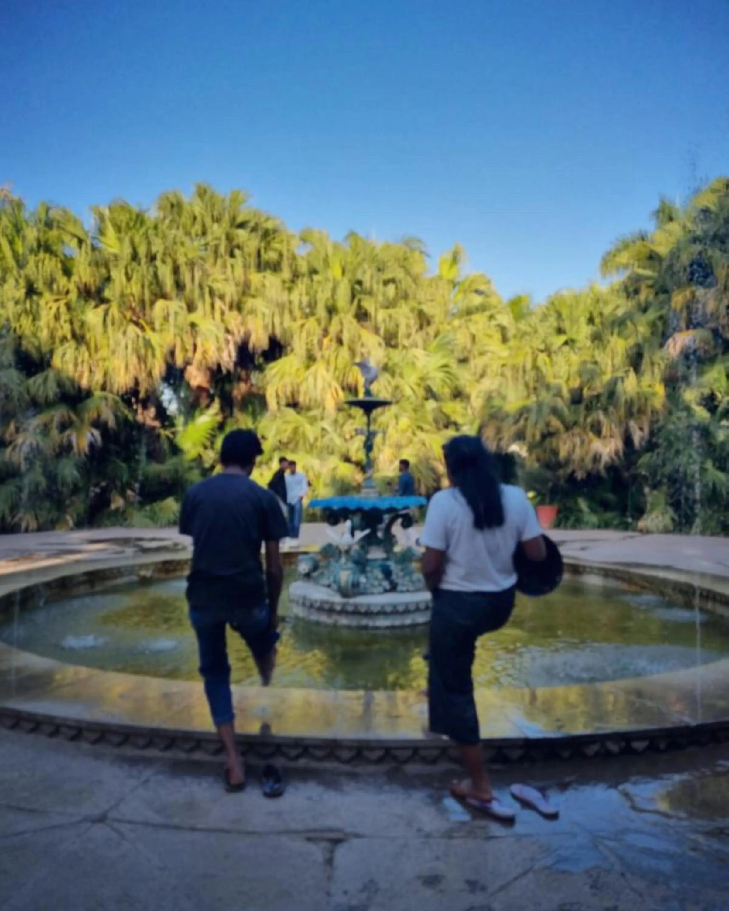 Spring in Tamasha Udaipur