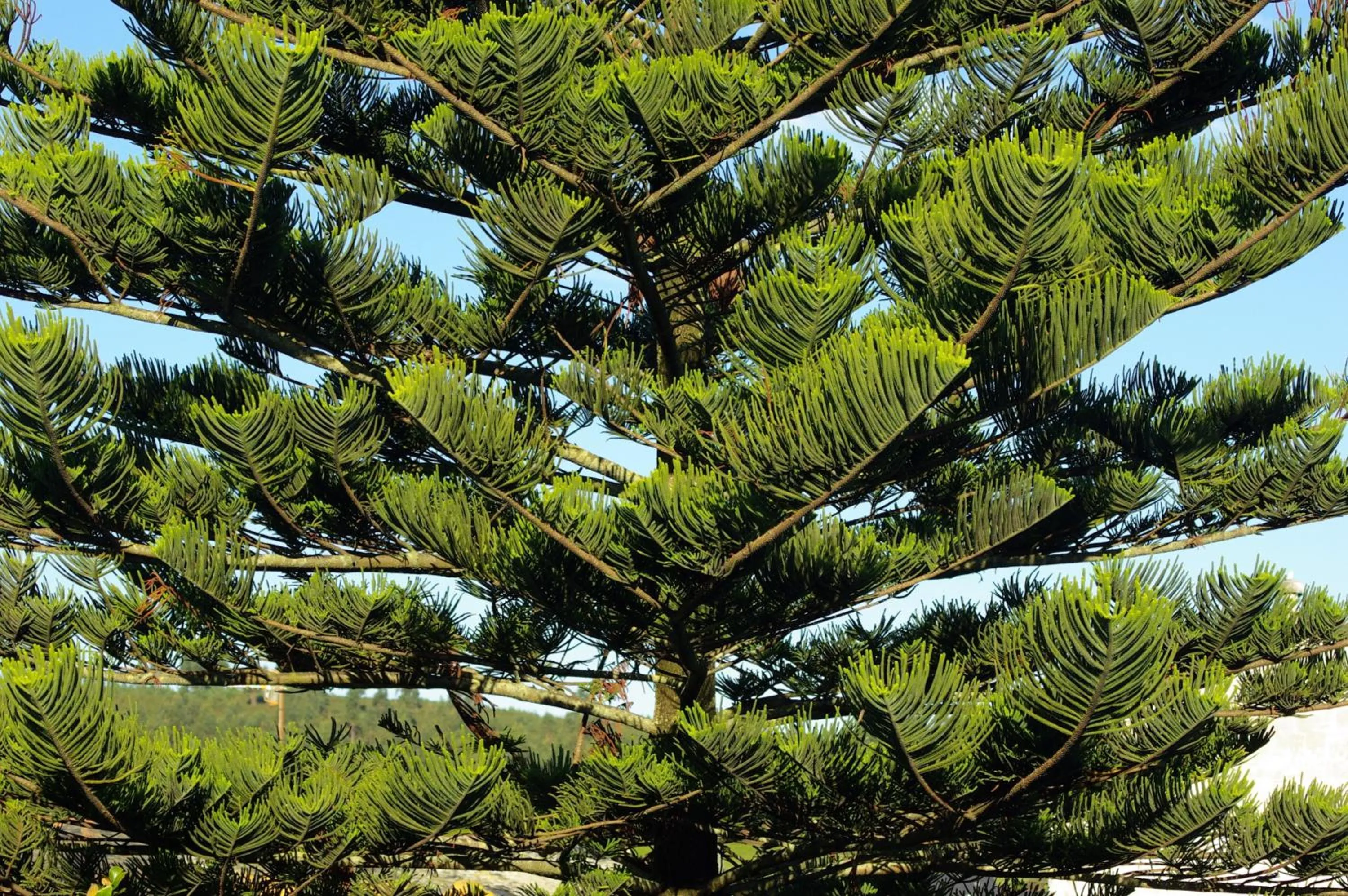 Facade/entrance in Hotel y Apartamentos Arias