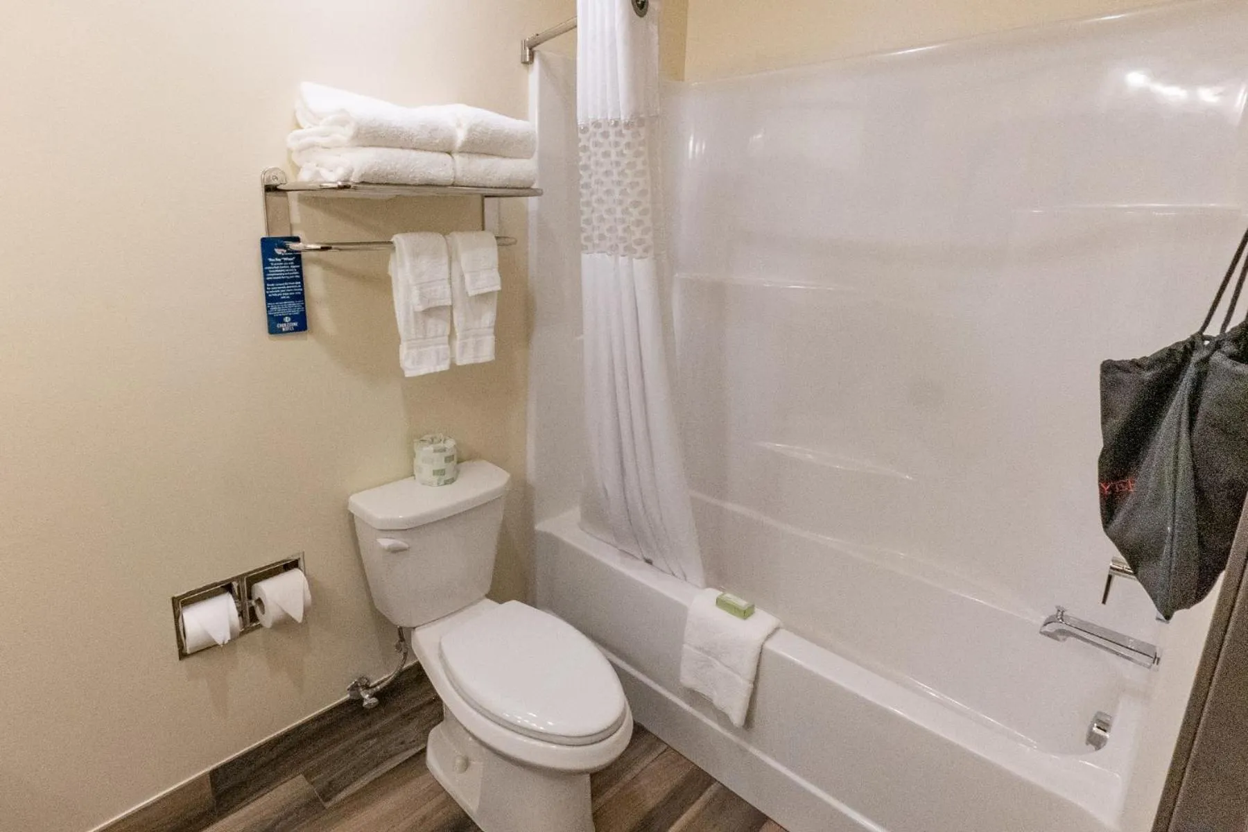Shower in Cobblestone Hotel & Suites-Sheldon