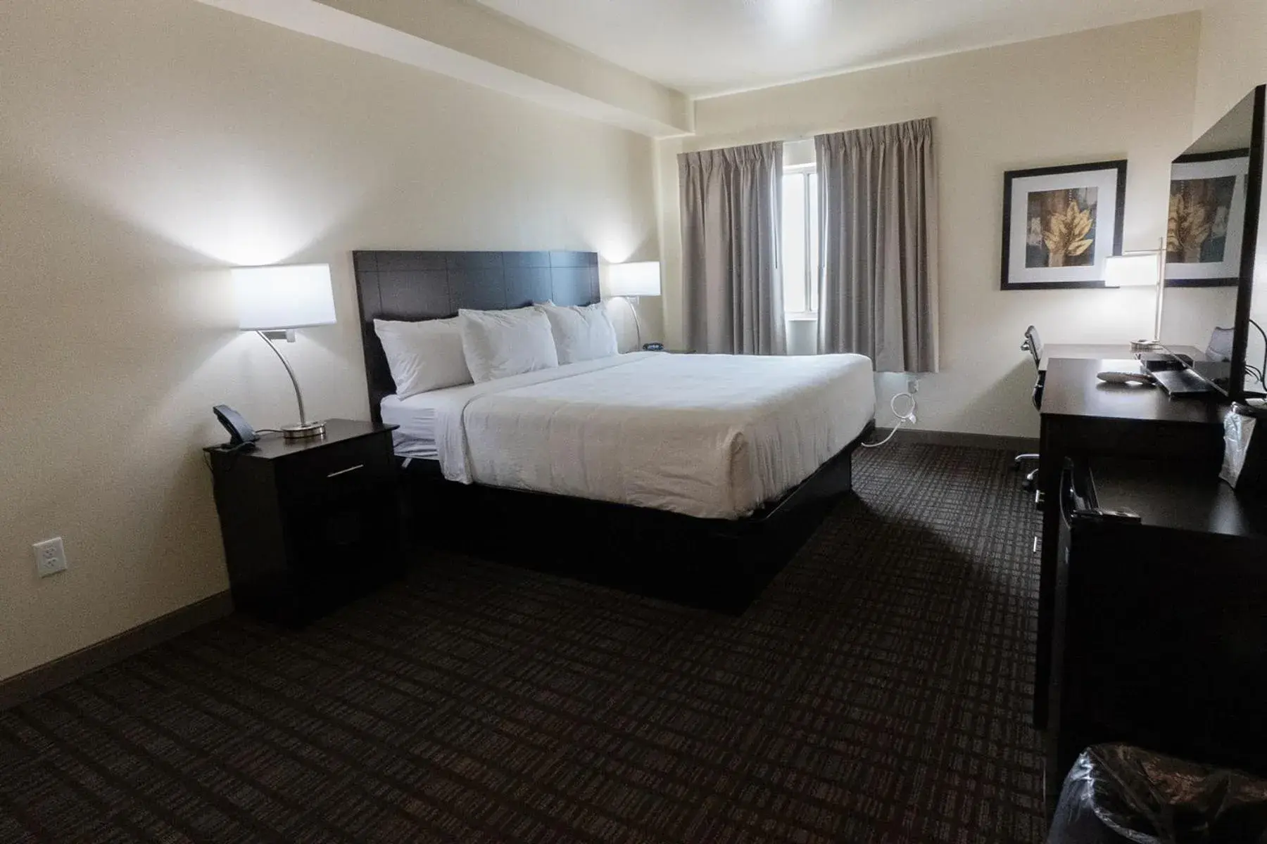 Single Room in Cobblestone Hotel & Suites-Sheldon Single Room in Cobblestone Hotel & Suites-Sheldon
