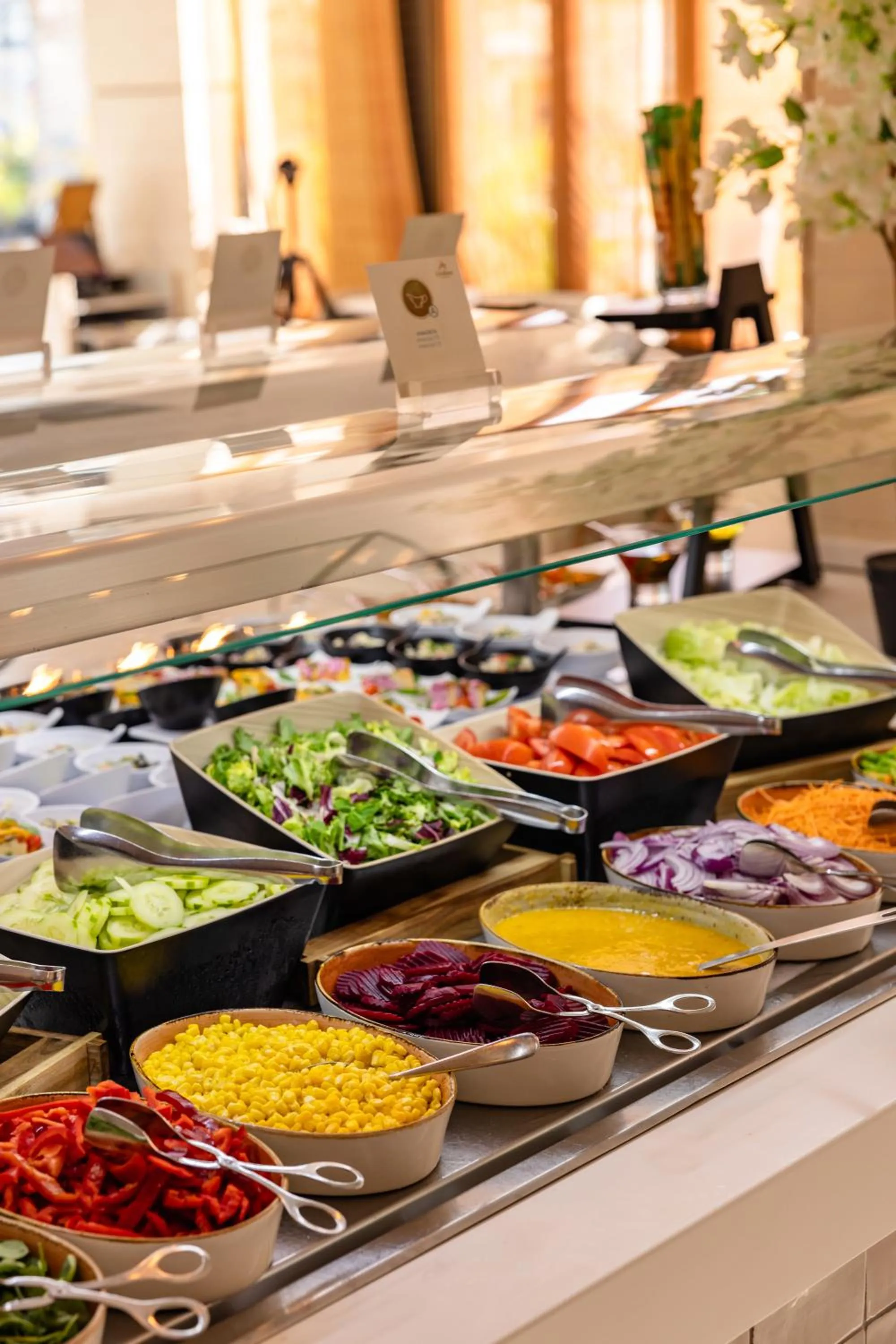 Corallium Beach by Lopesan Hotels - Adults Only