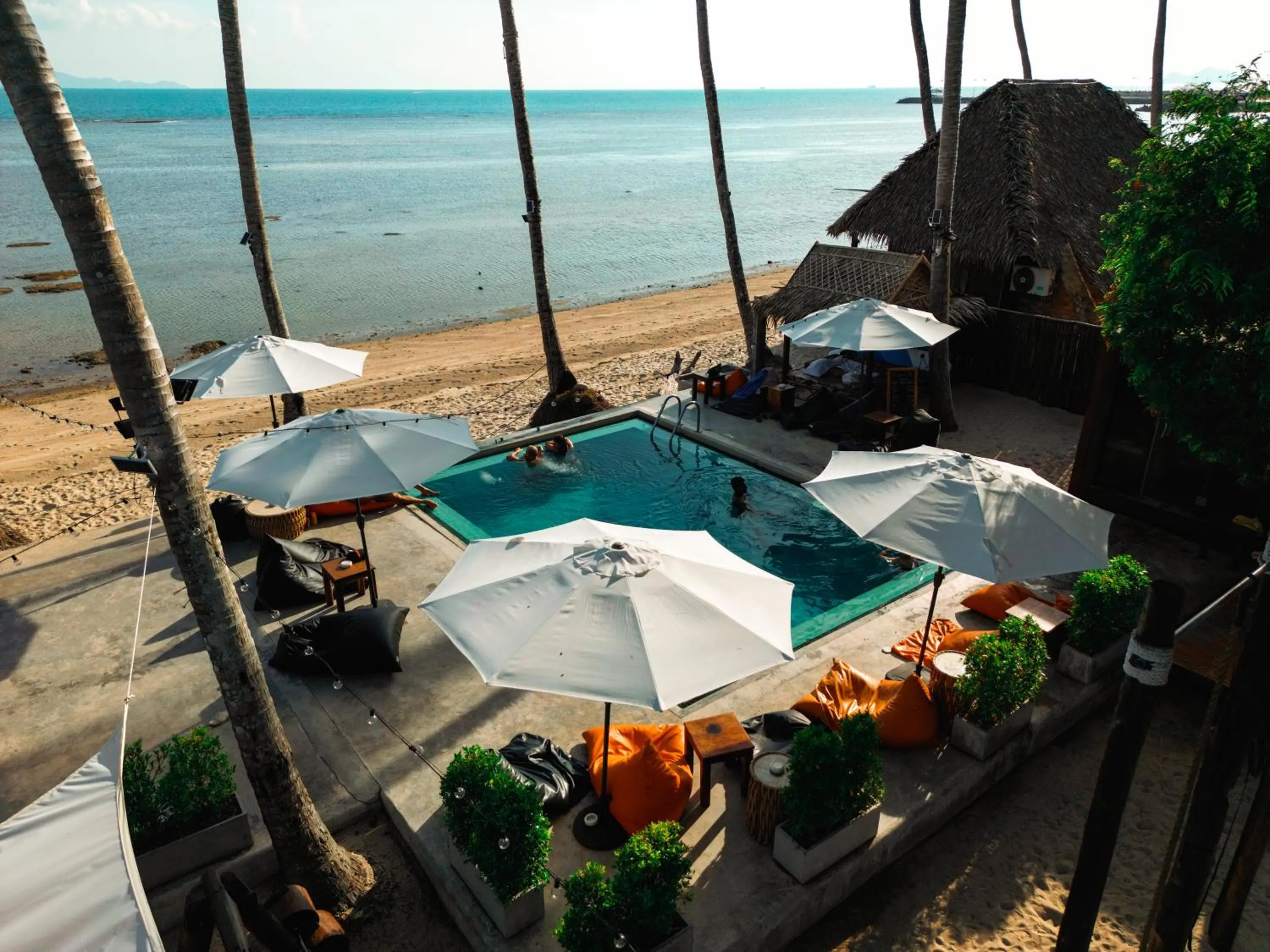 Wild Wood x Hansa Beach Fitness Resort