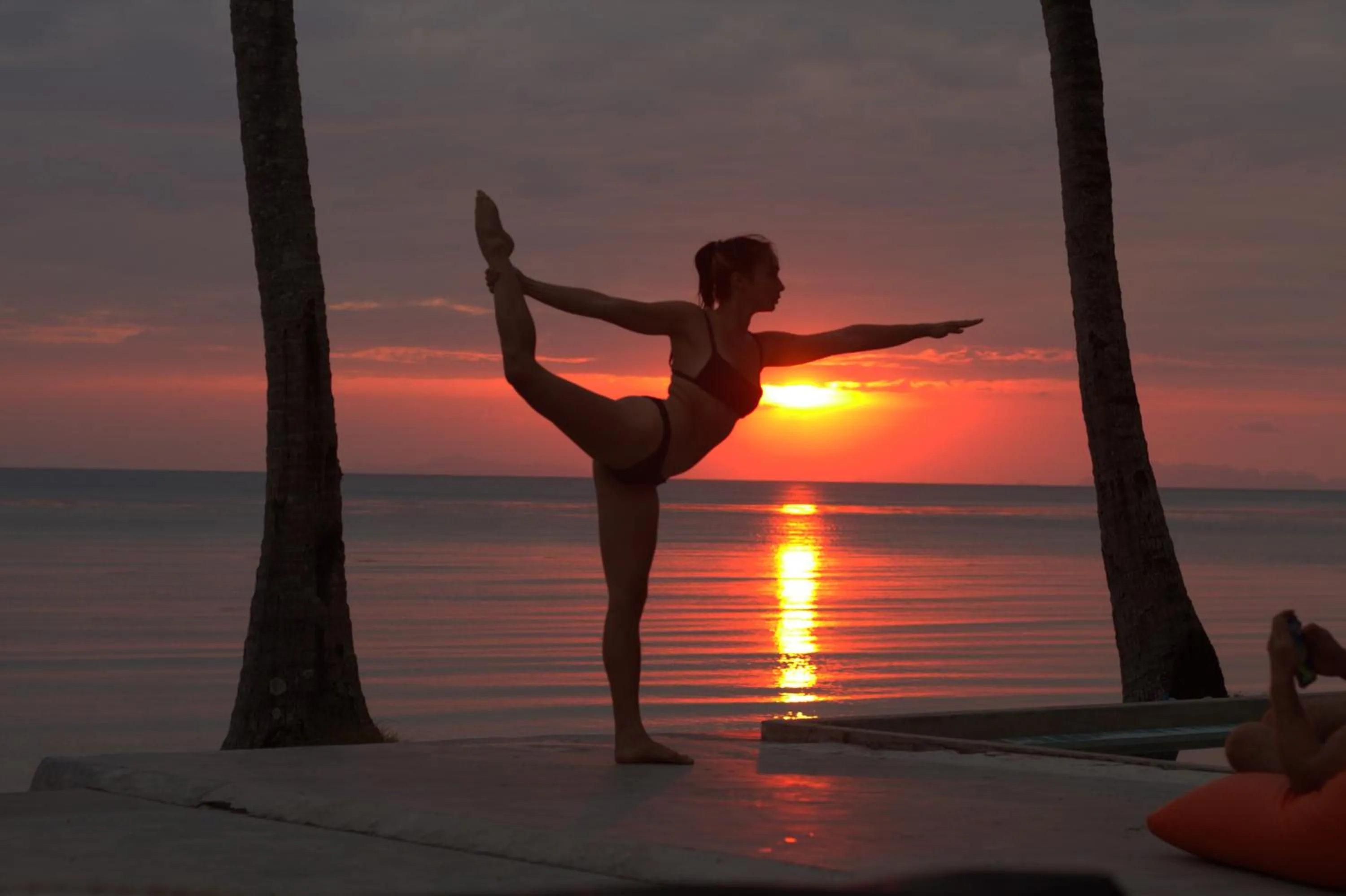 Wild Wood x Hansa Beach Fitness Resort