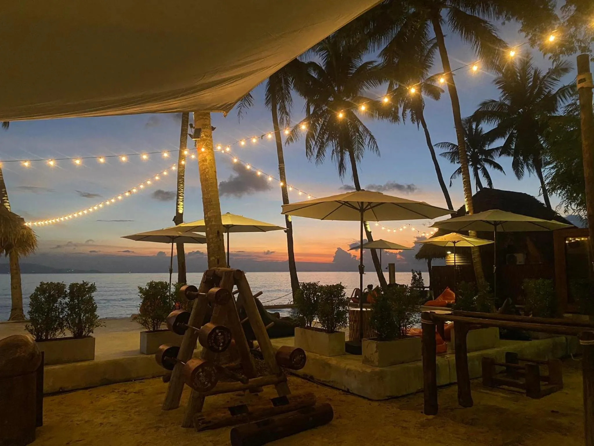 Wild Wood x Hansa Beach Fitness Resort