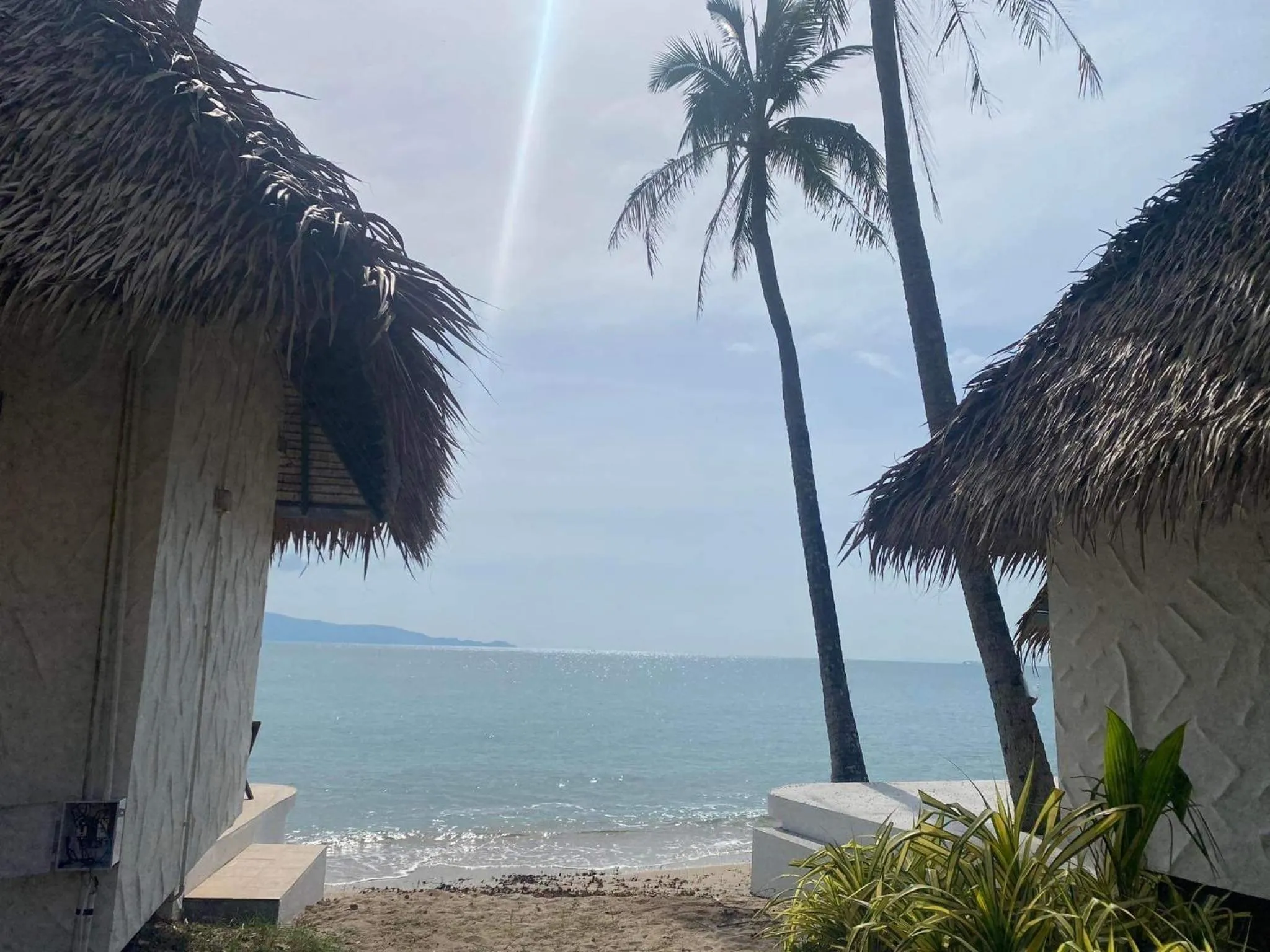 Wild Wood x Hansa Beach Fitness Resort