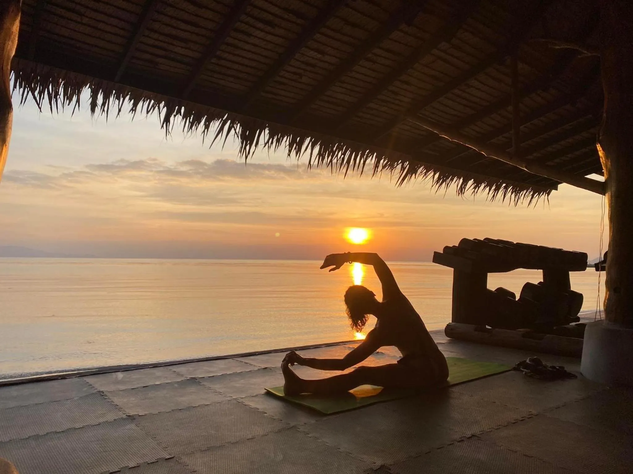 Wild Wood x Hansa Beach Fitness Resort