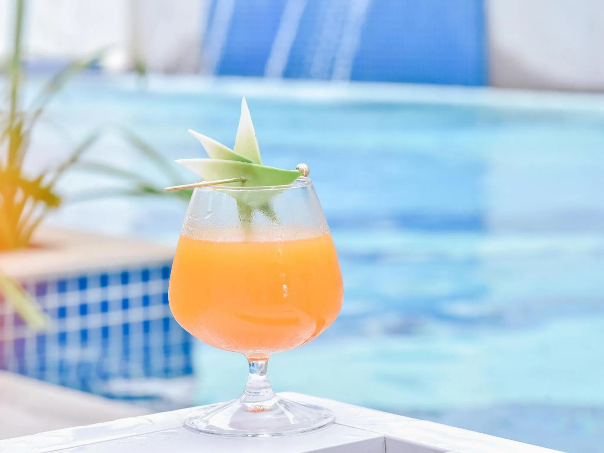 Food and drinks in The Yellow House, Goa - IHCL SeleQtions