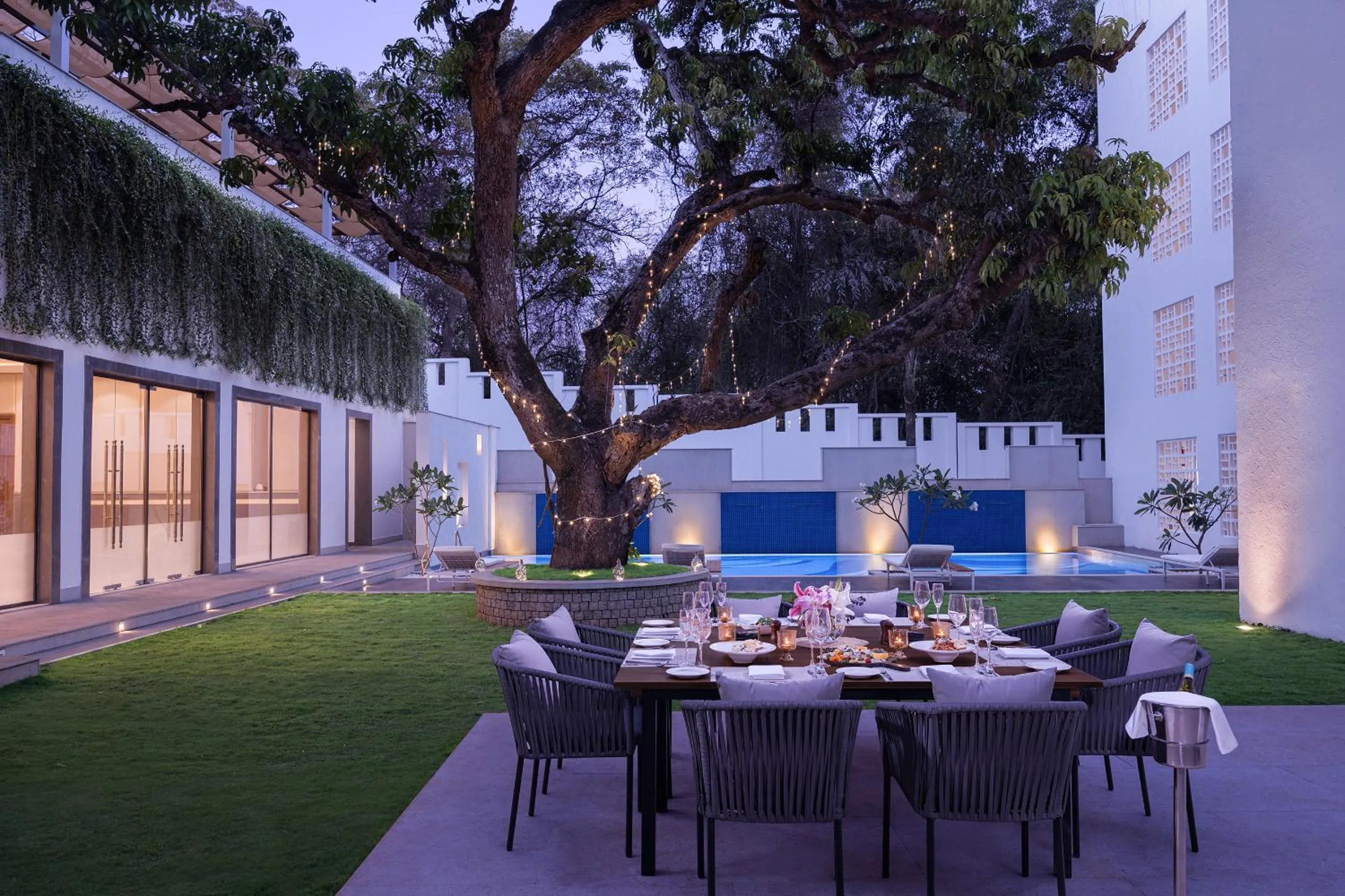 Food and drinks in The Yellow House, Goa - IHCL SeleQtions