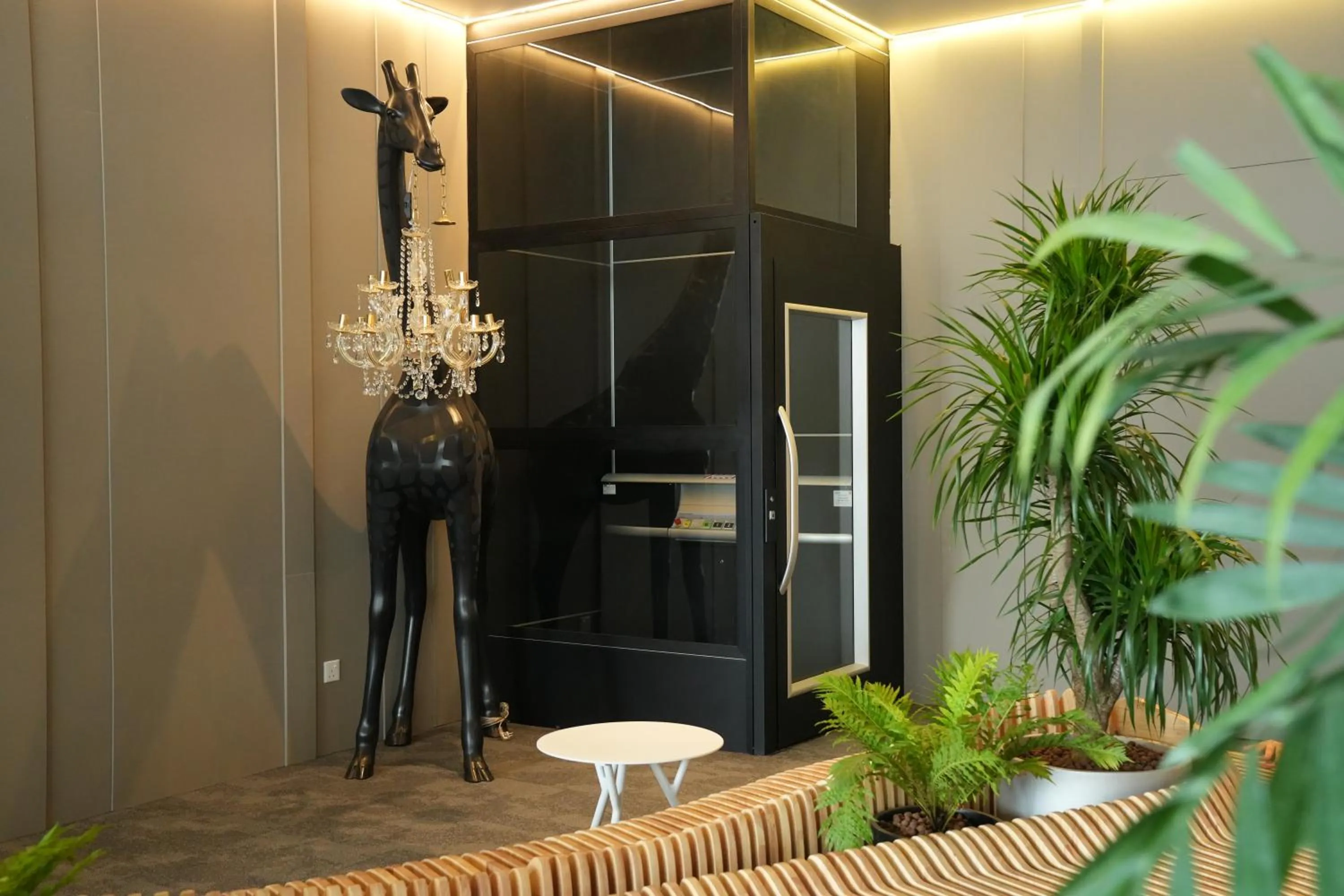 Area and facilities in Roxy Hotel Aiman