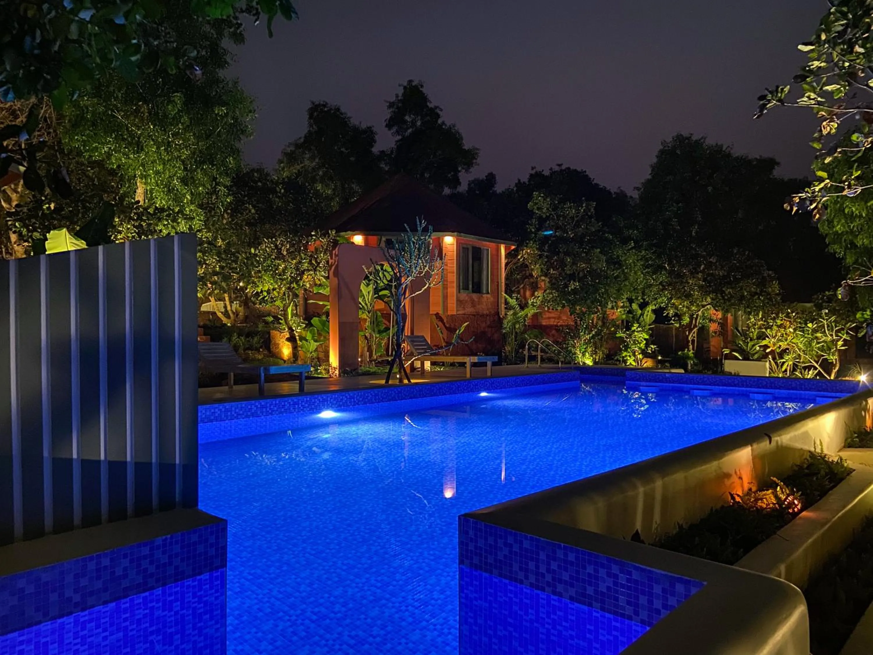 Night in Habitus Resort