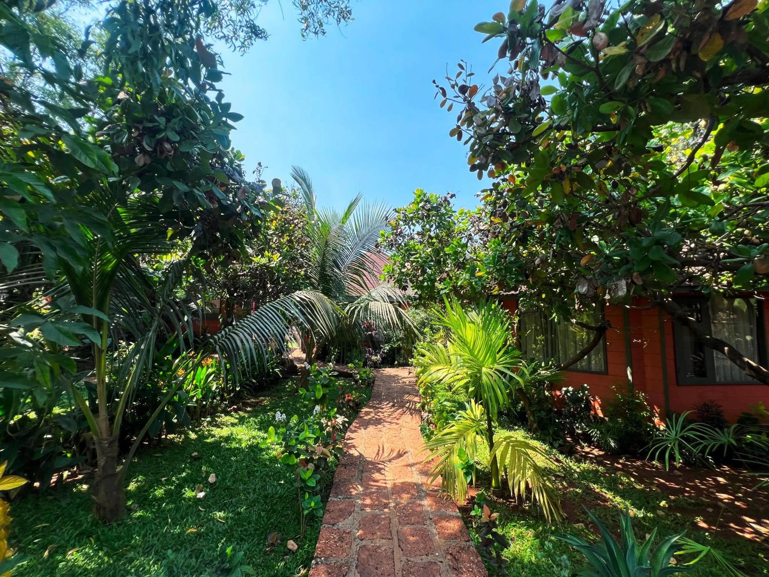 Garden in Habitus Resort