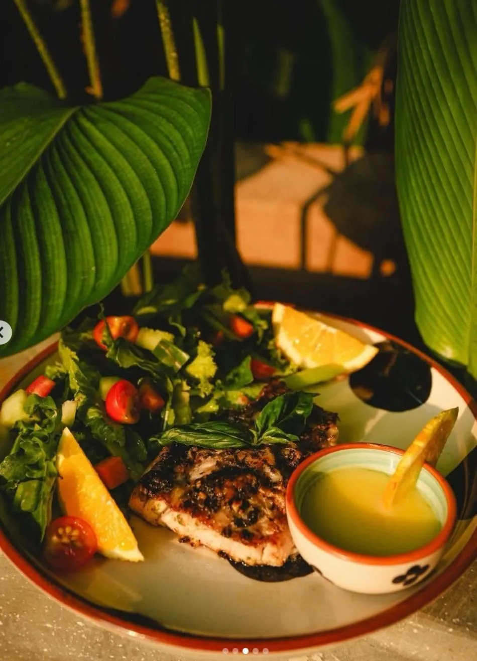 Food and drinks in Habitus Resort