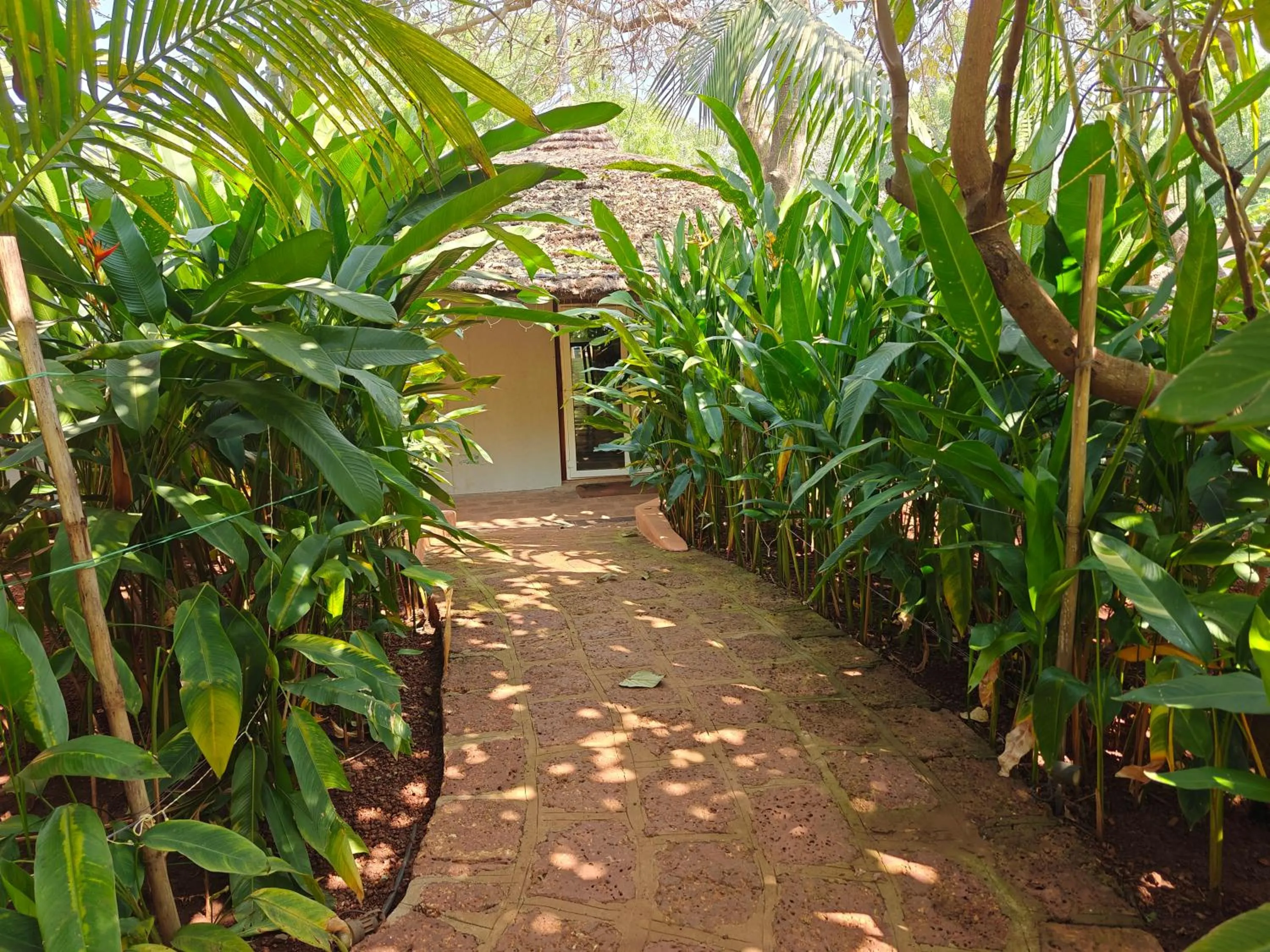 Day in Habitus Resort