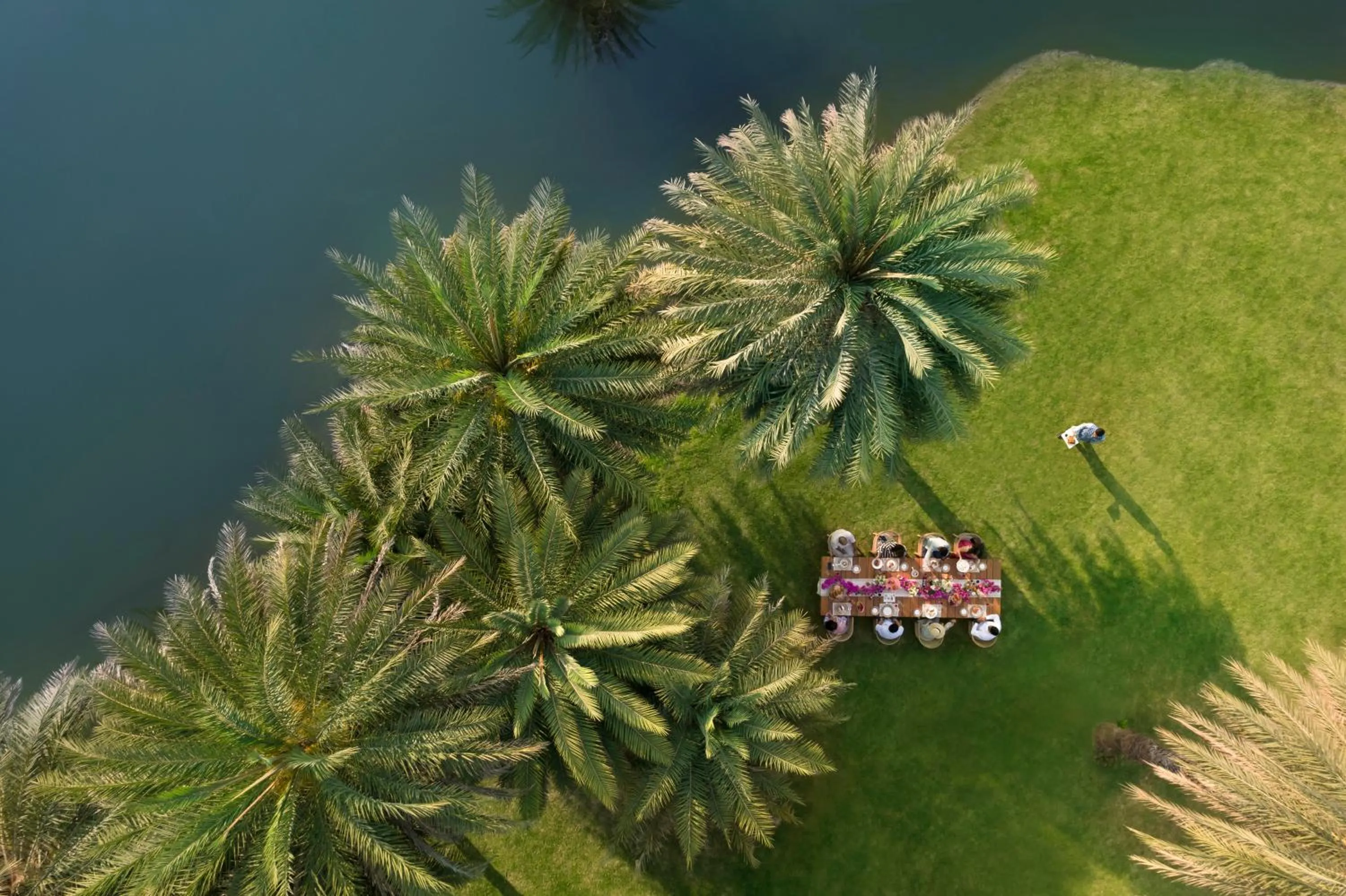 Natural landscape in Mementos by ITC Hotels, Ekaaya, Udaipur